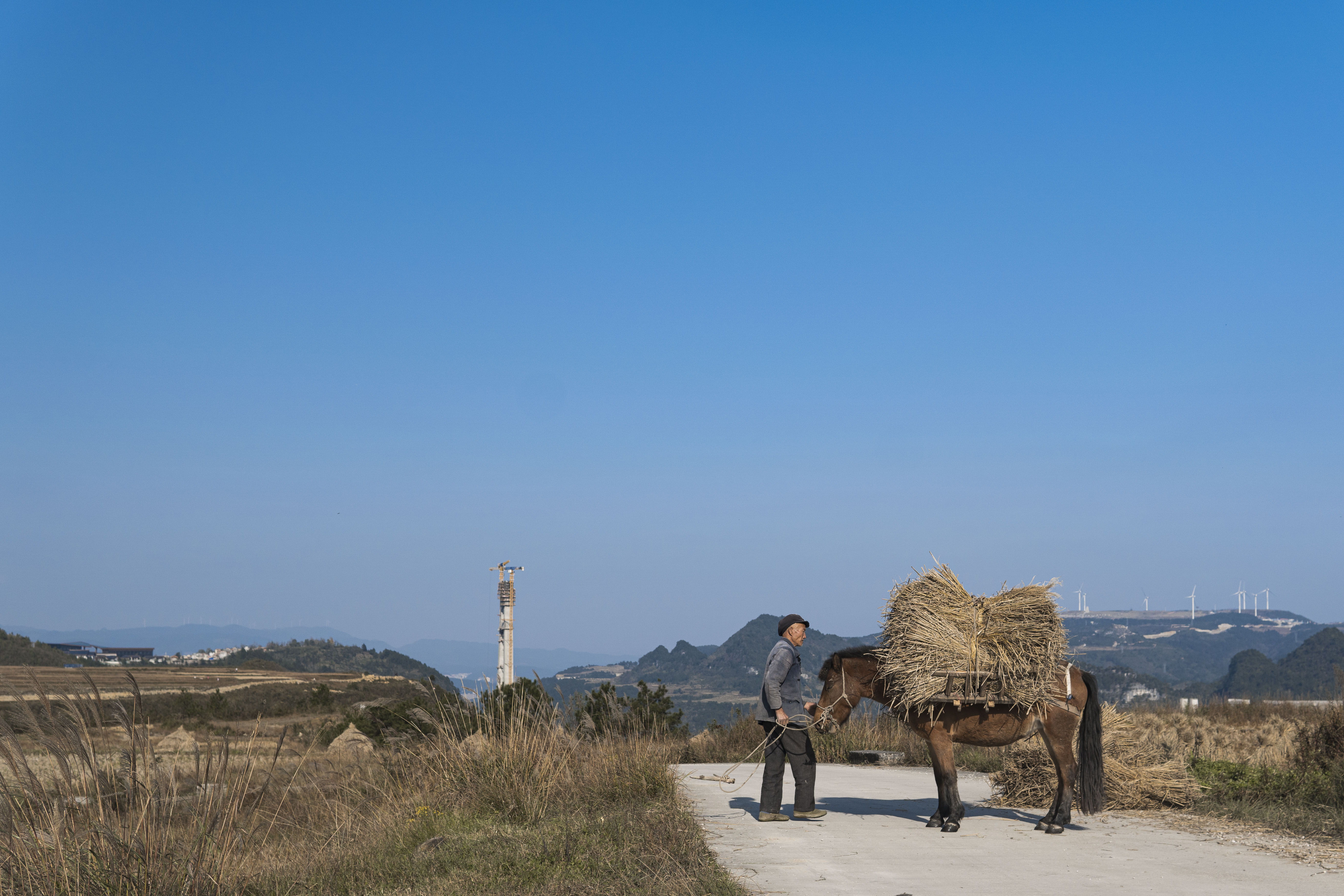 Horse Hay Farmers Road Landscape Outdoors 5504x3669
