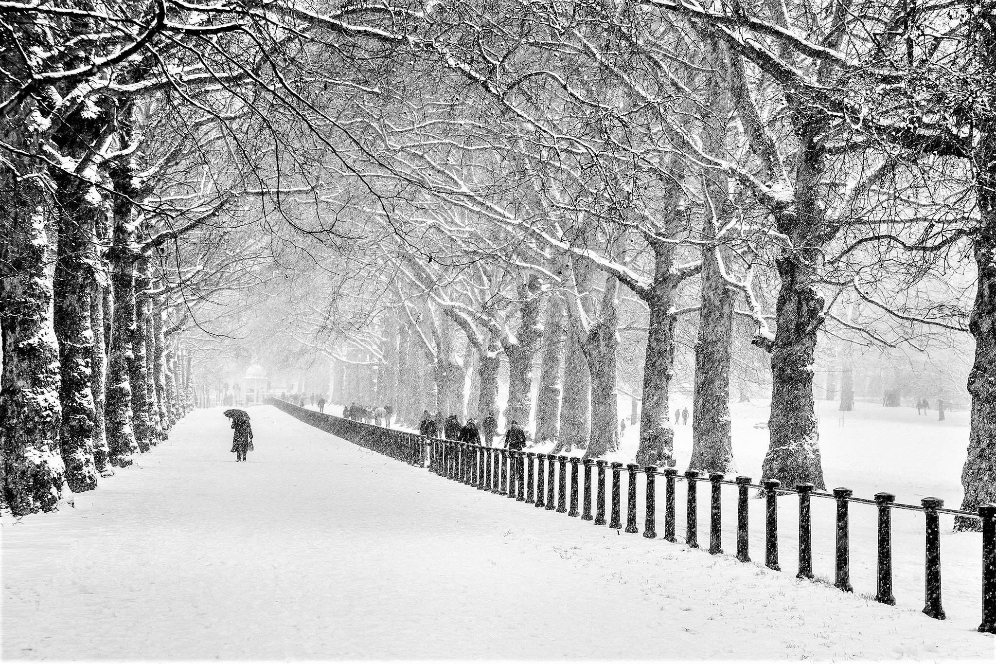 Fence Park People Snow Snowfall Tree Winter 2048x1365