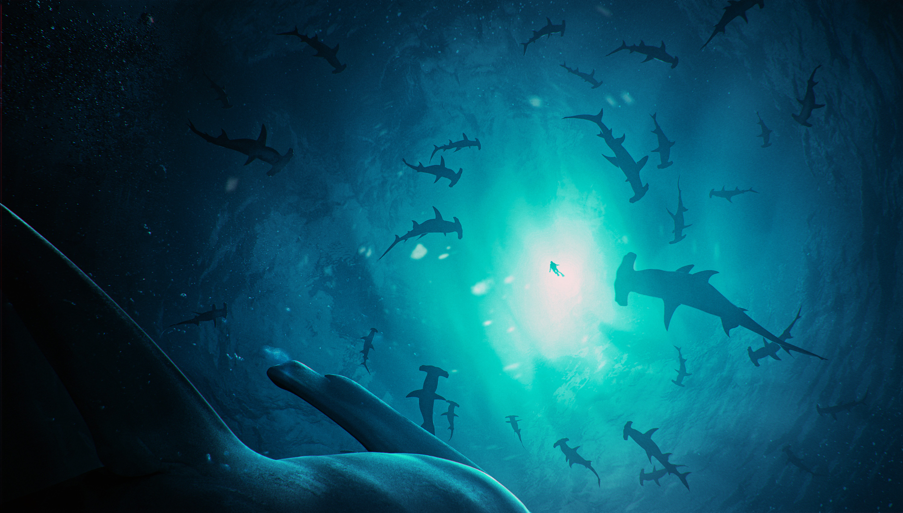 Hammerhead Shark Underwater 3000x1705