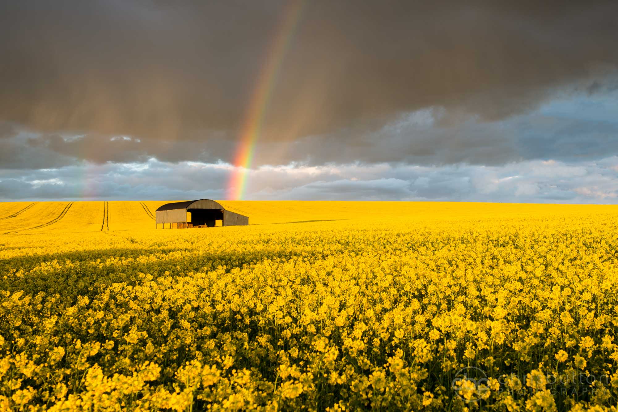Barn Earth Field Rainbow Rapeseed Summer Yellow Flower 2000x1333