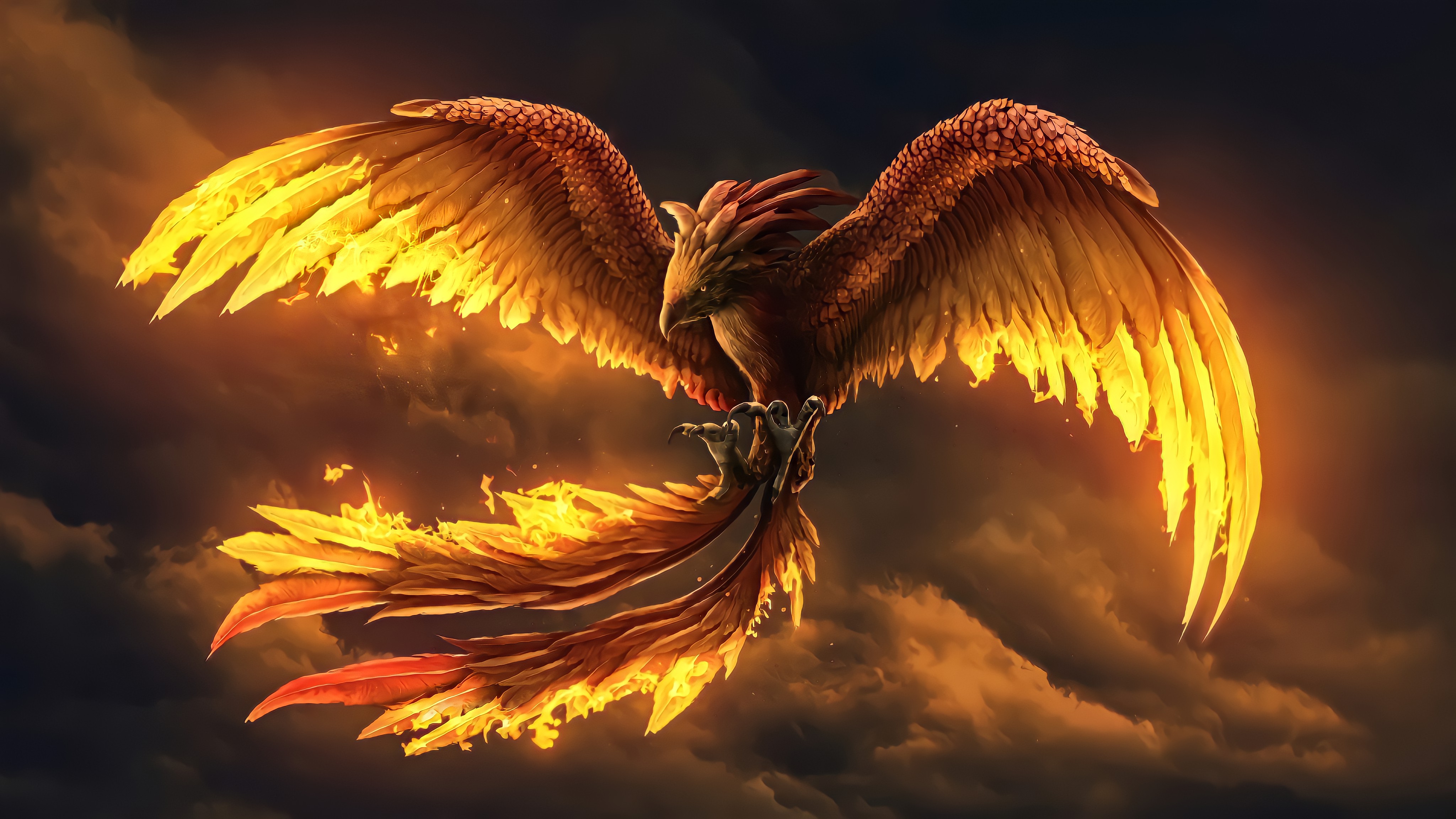 Bird Of Prey Fire Fly Phoenix 4096x2304.