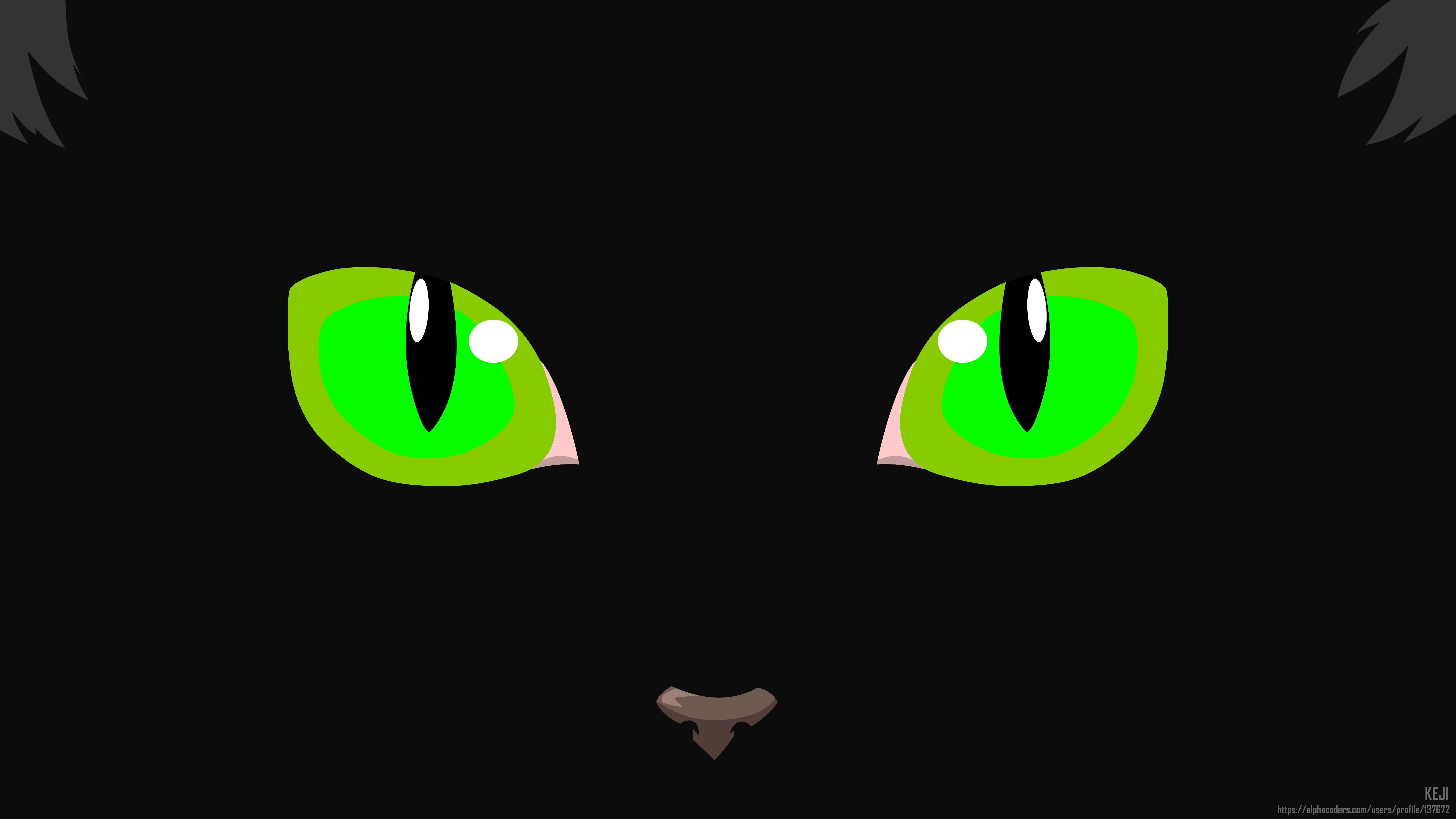 Black Cat Eye Minimalist 7680x4320