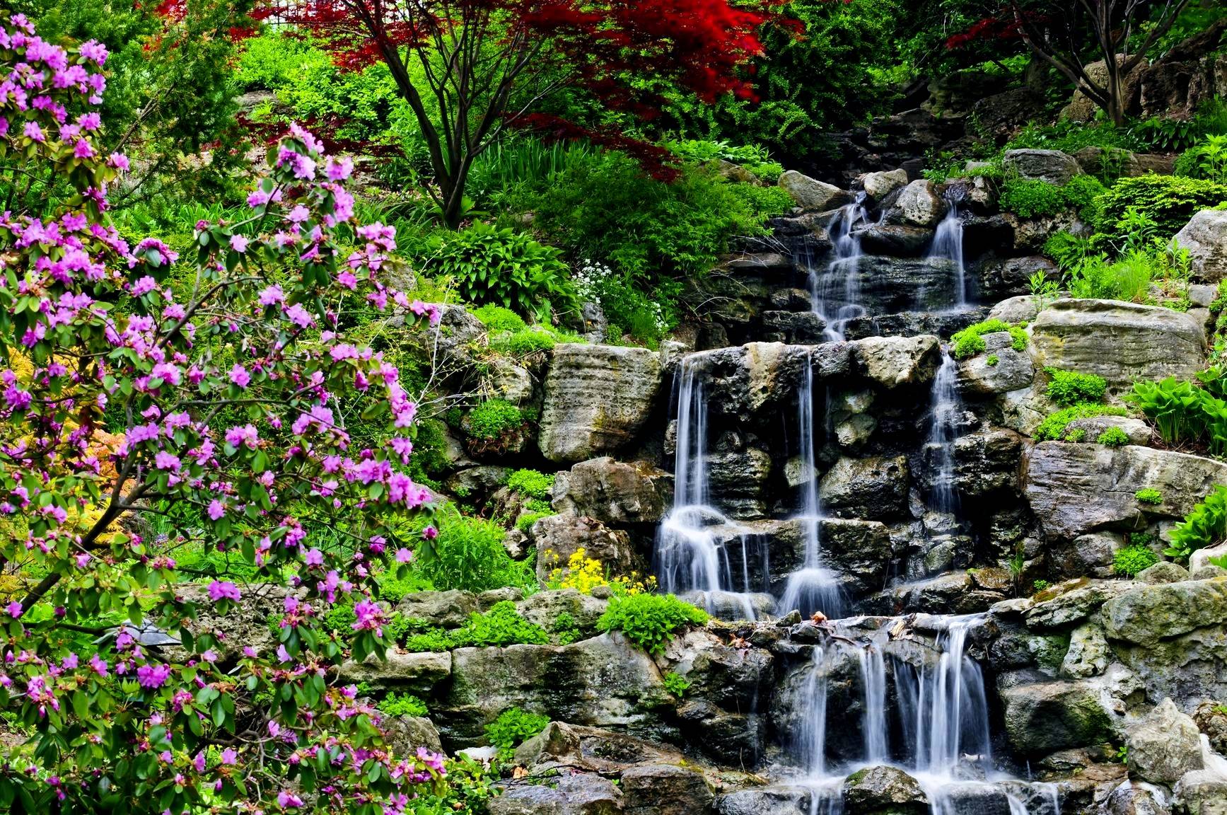Flower Garden Nature Rock Vegetation Water Waterfall 1735x1152