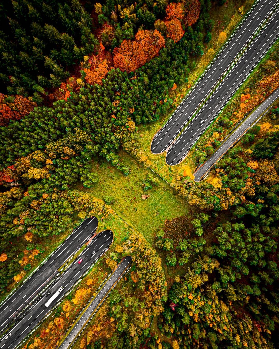 Nature Landscape Portrait Display Road Highway Aerial View Drone Photo Forest Trees Car Fall Wildlif 1080x1351
