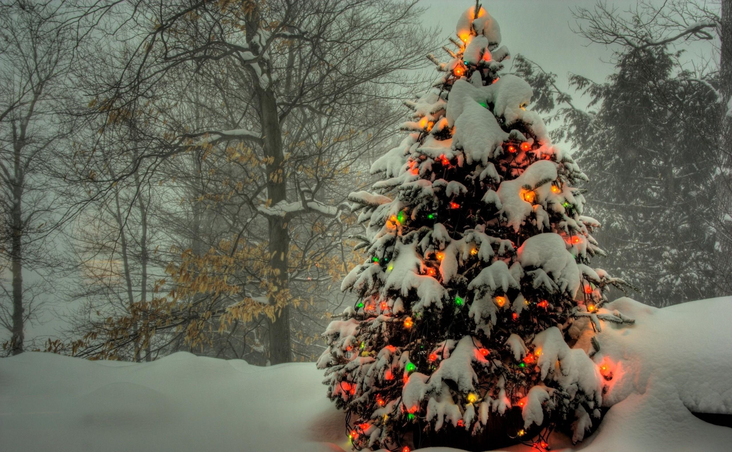 Christmas Christmas Tree Decorations Light Effects 2560x1580
