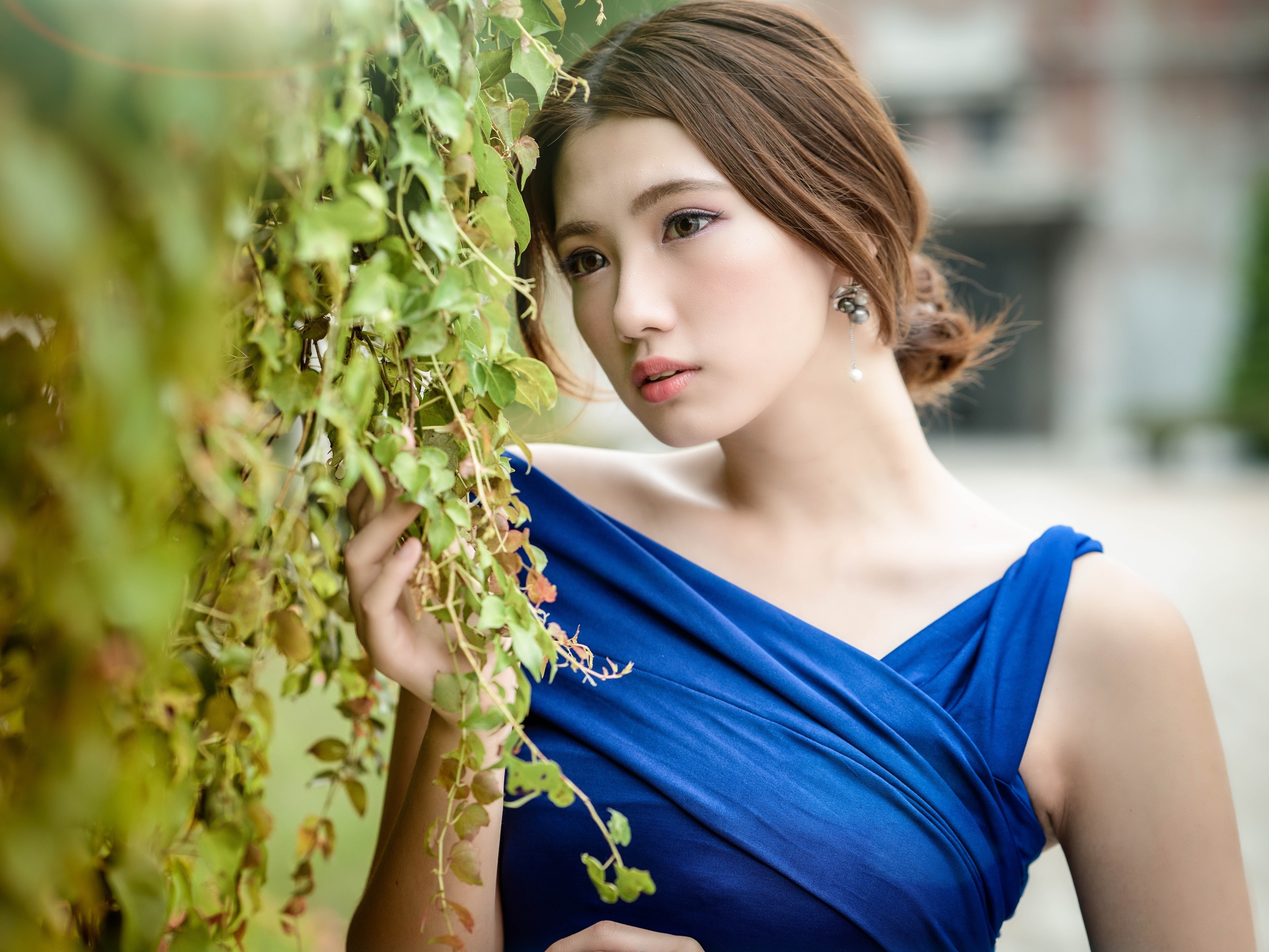 Asian Women Model Long Hair Brunette Depth Of Field Ivy Blue Dress Ponytail Earring 4096x3072