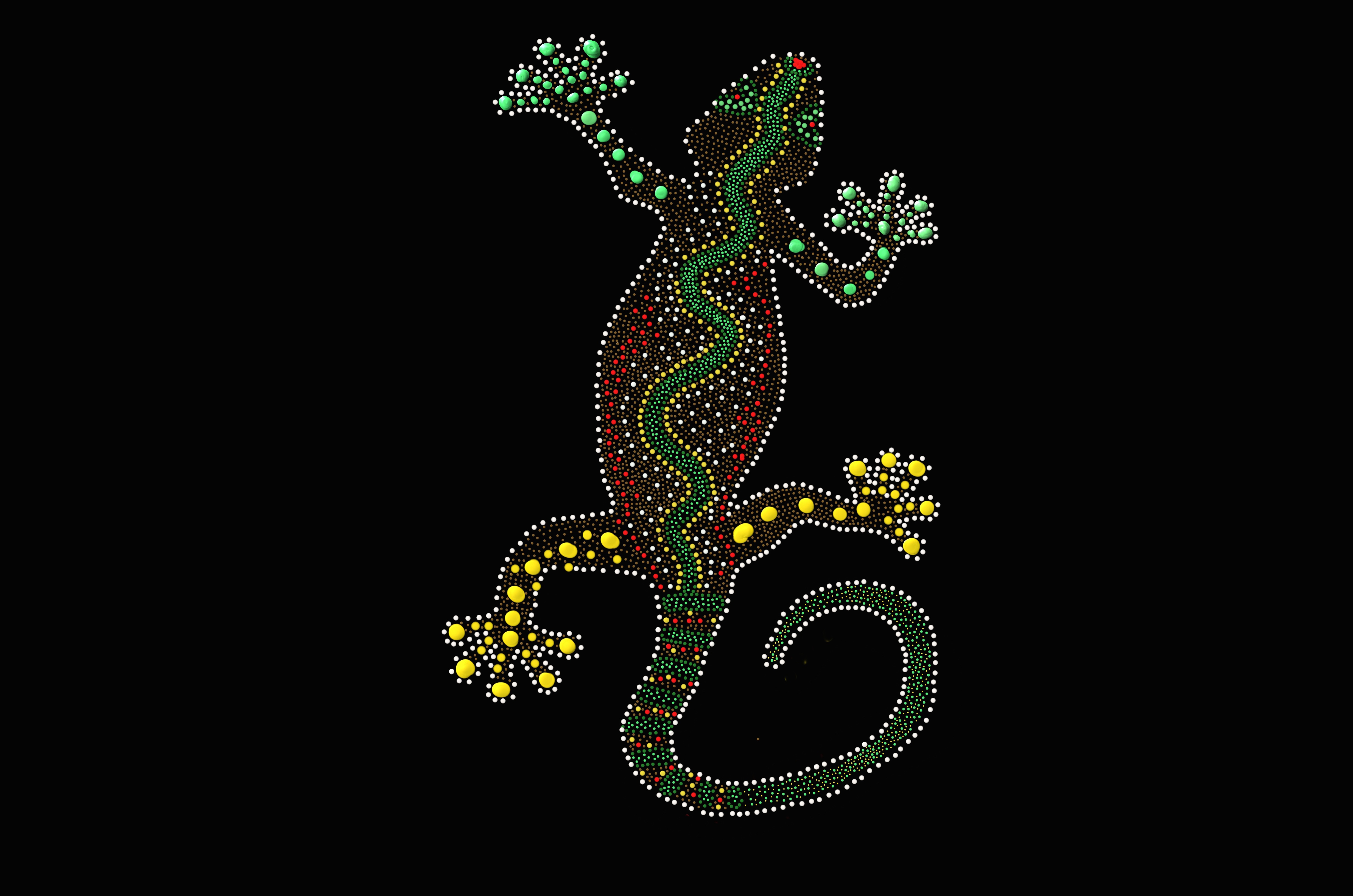 Artistic Dots Lizard 4928x3264