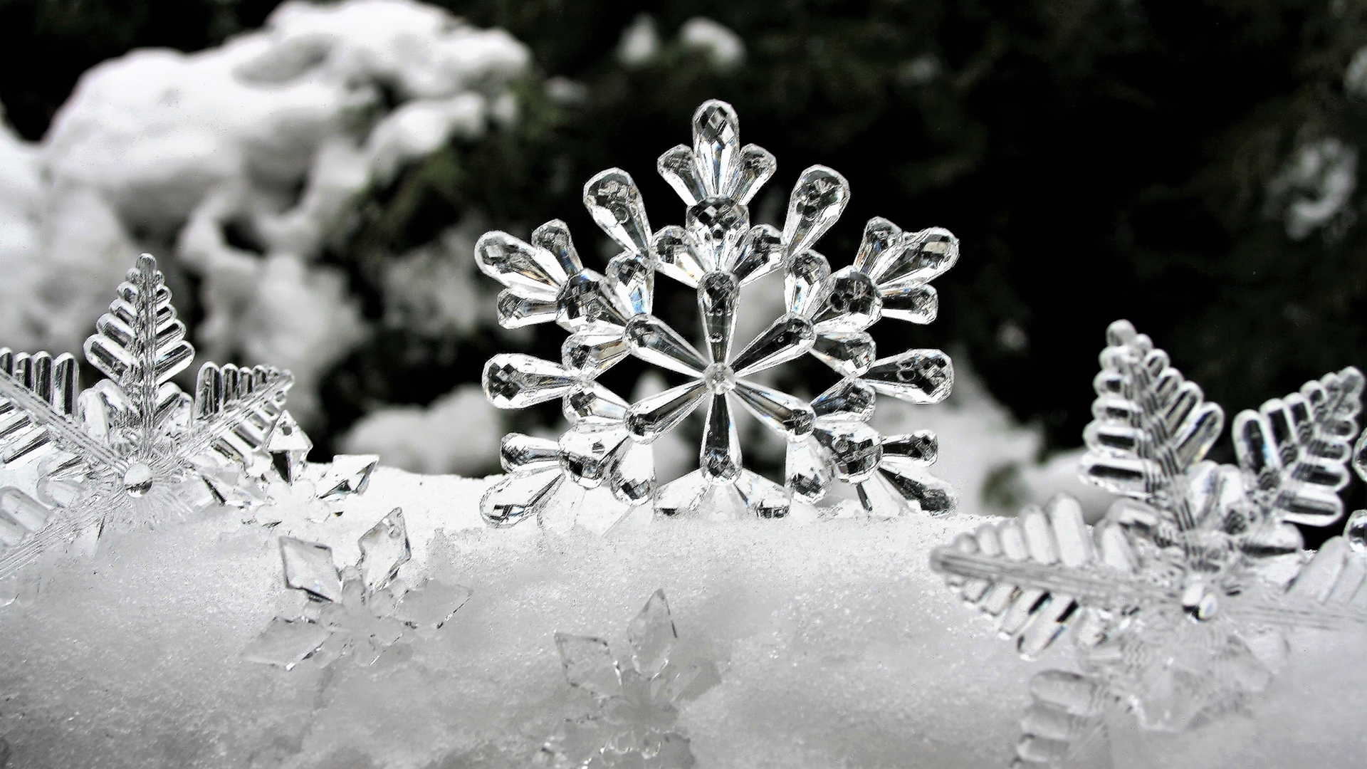 Christmas Christmas Ornaments Glass Snow Snowflake 1920x1080