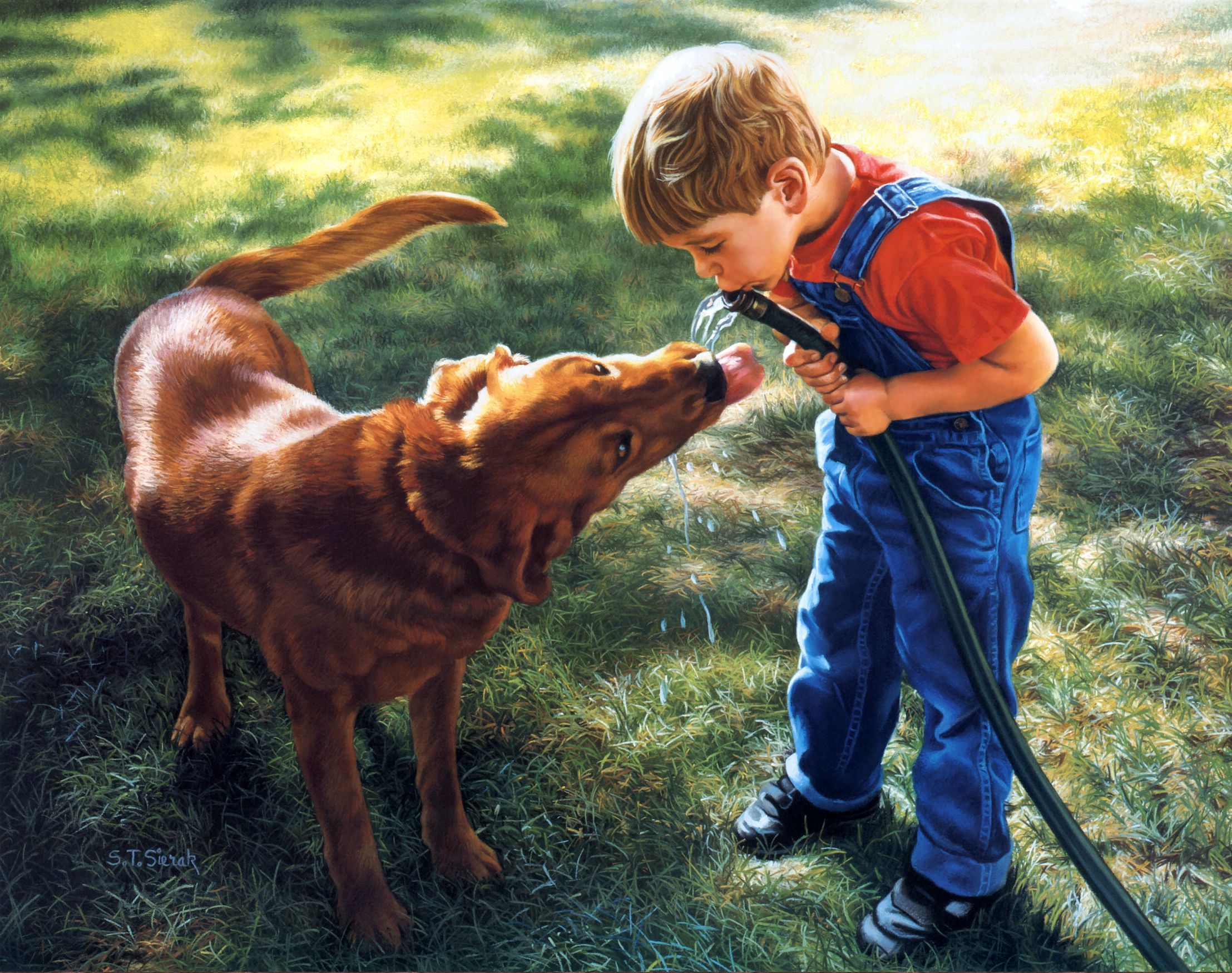 Child Dog Love 2215x1750