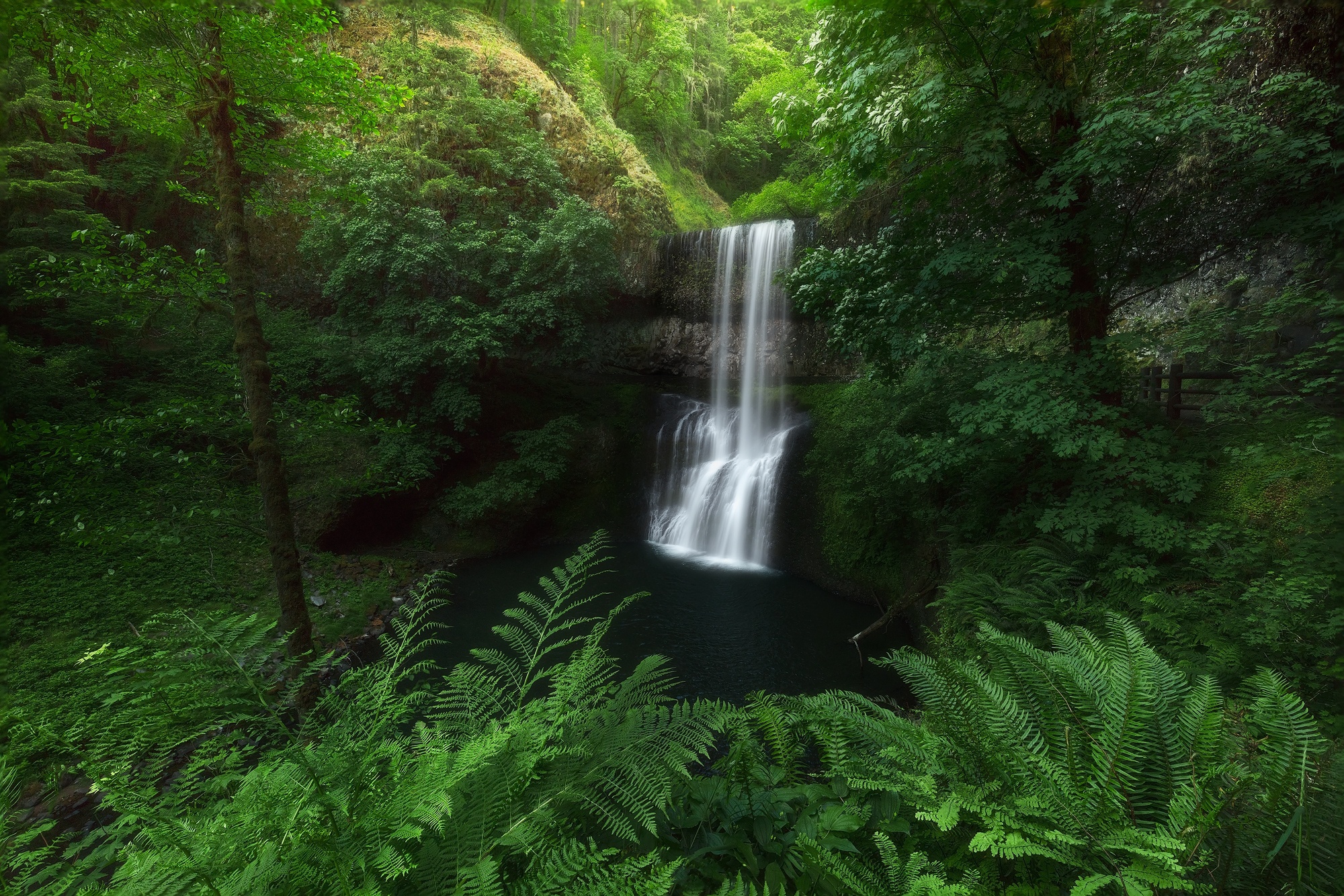 Fern Greenery Nature Waterfall 2000x1334