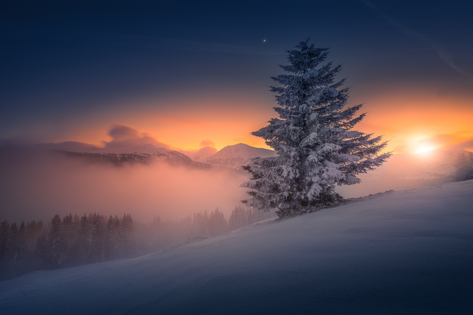 Austria Nature Snow Sunset Tree Winter 1920x1280