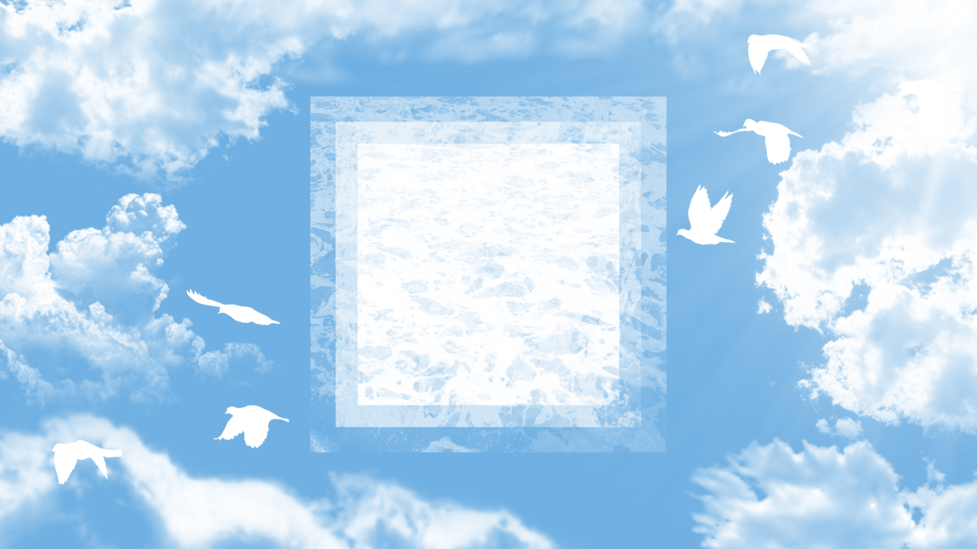 Bird Cloud Water 1920x1080