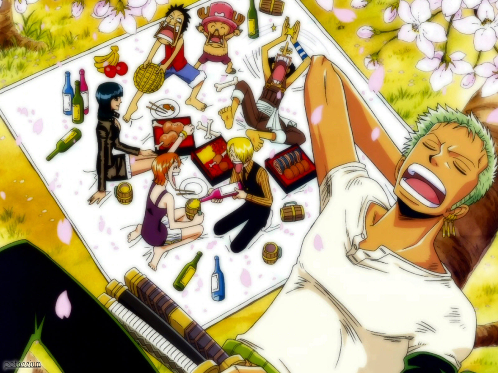 One Piece Monkey D Luffy Nami Sanji Roronoa Zoro Usopp Nico Robin Tony Tony Chopper Anime Picnic 1600x1200