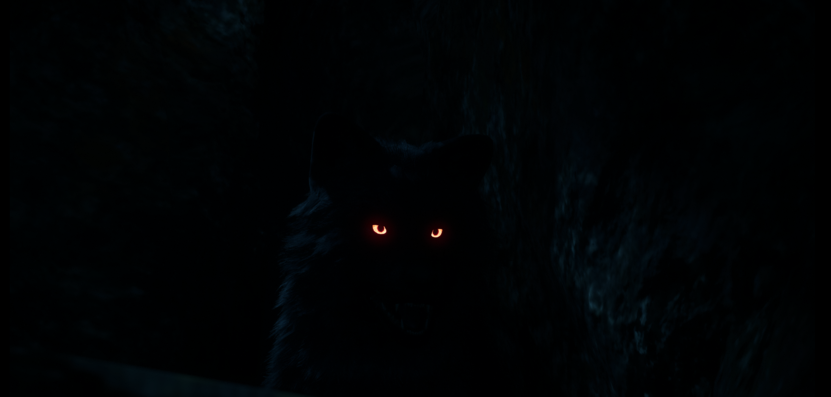Assassins Creed Valhalla Assassins Creed Wolf Glowing Eyes Mythology Black Dark Blue PC Gaming Video 2642x1262