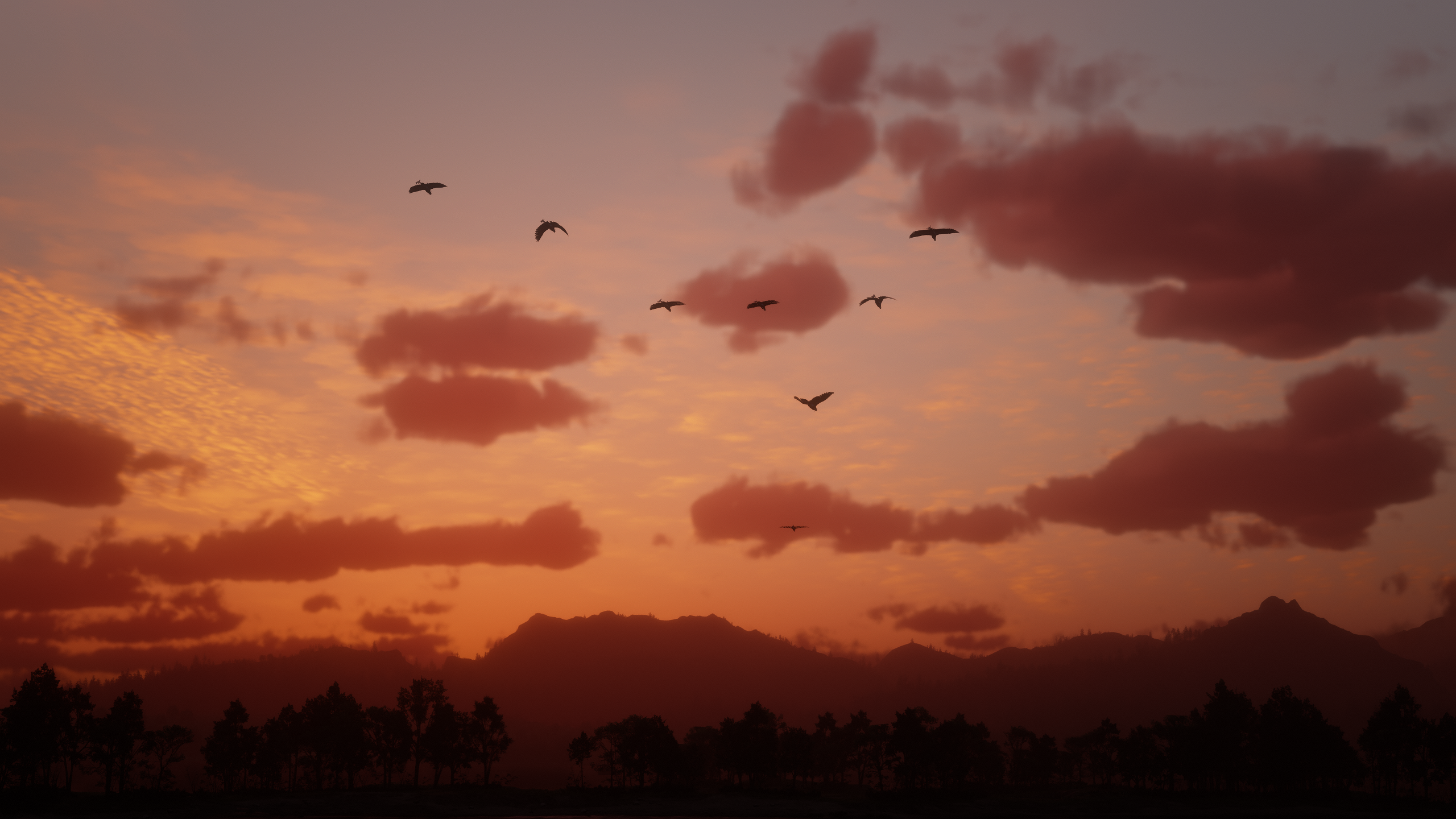 Red Dead Redemption 2 Red Dead Redemption Ii Video Games Video Game Landscape Sunset Forest 2560x1440