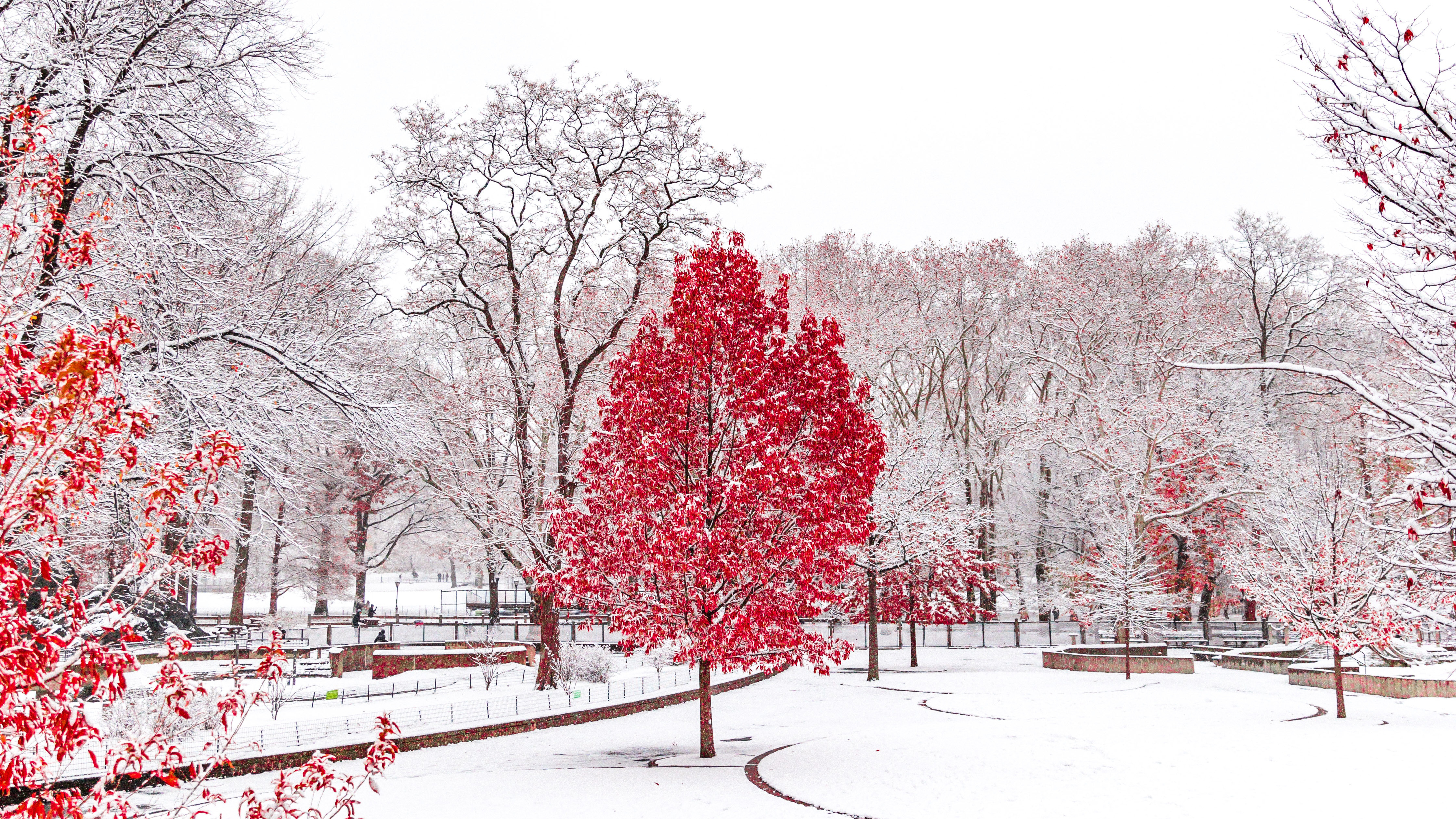 Central Park Snow 4480x2520