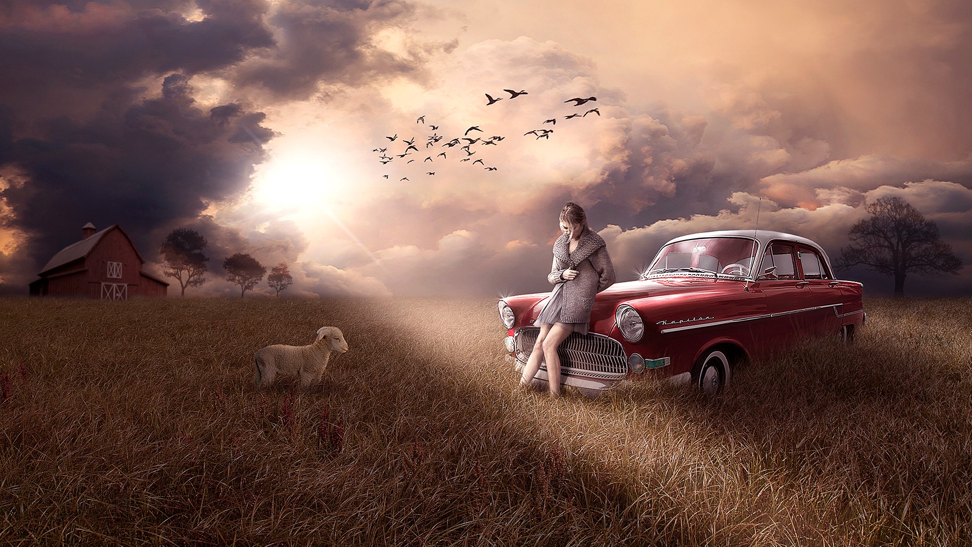 Car Fantasy Field Lamb Sad Woman 1920x1080