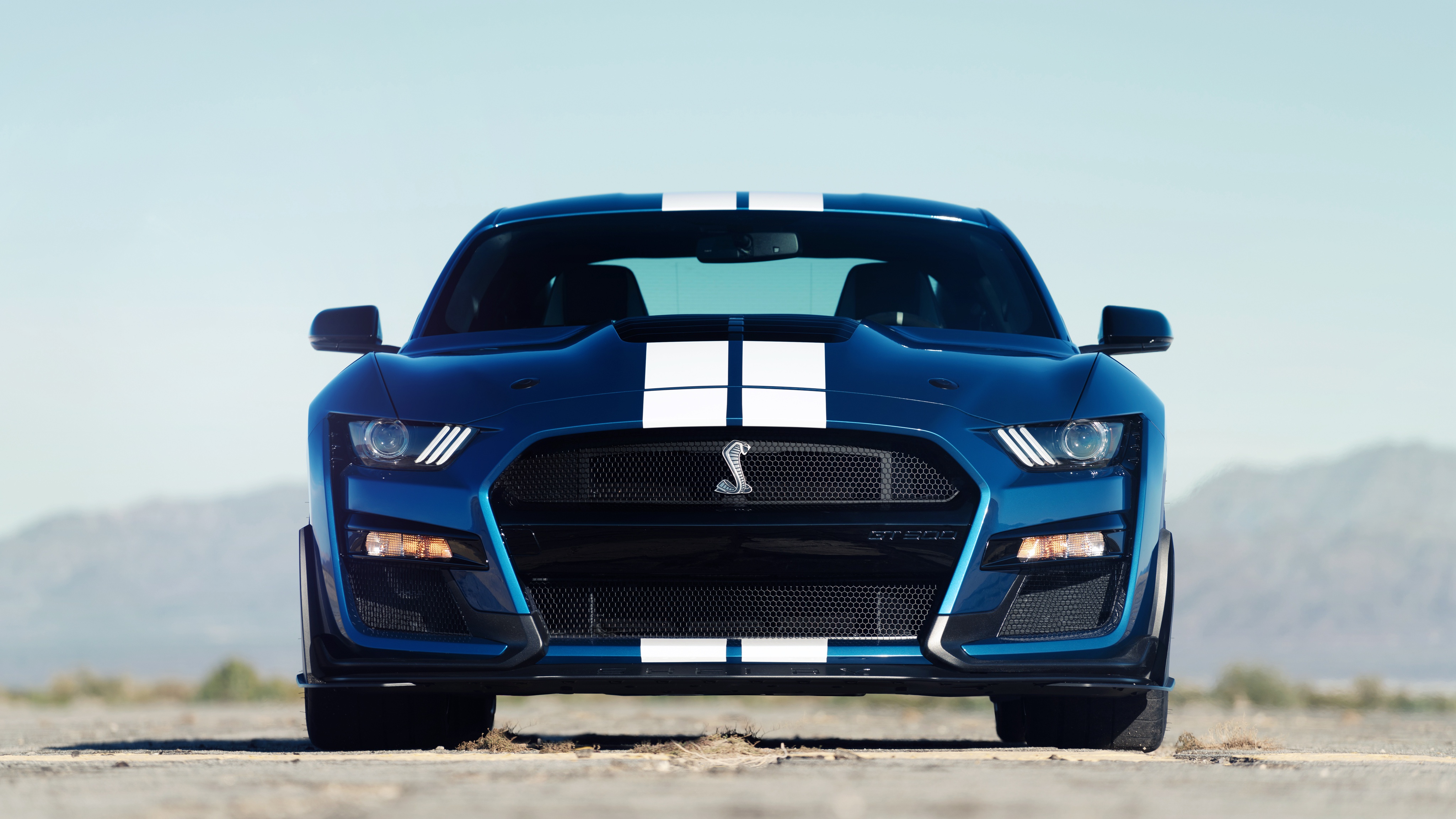 Blue Car Car Ford Ford Mustang Ford Mustang Shelby Ford Mustang Shelby Gt500 Muscle Car Vehicle 4096x2304