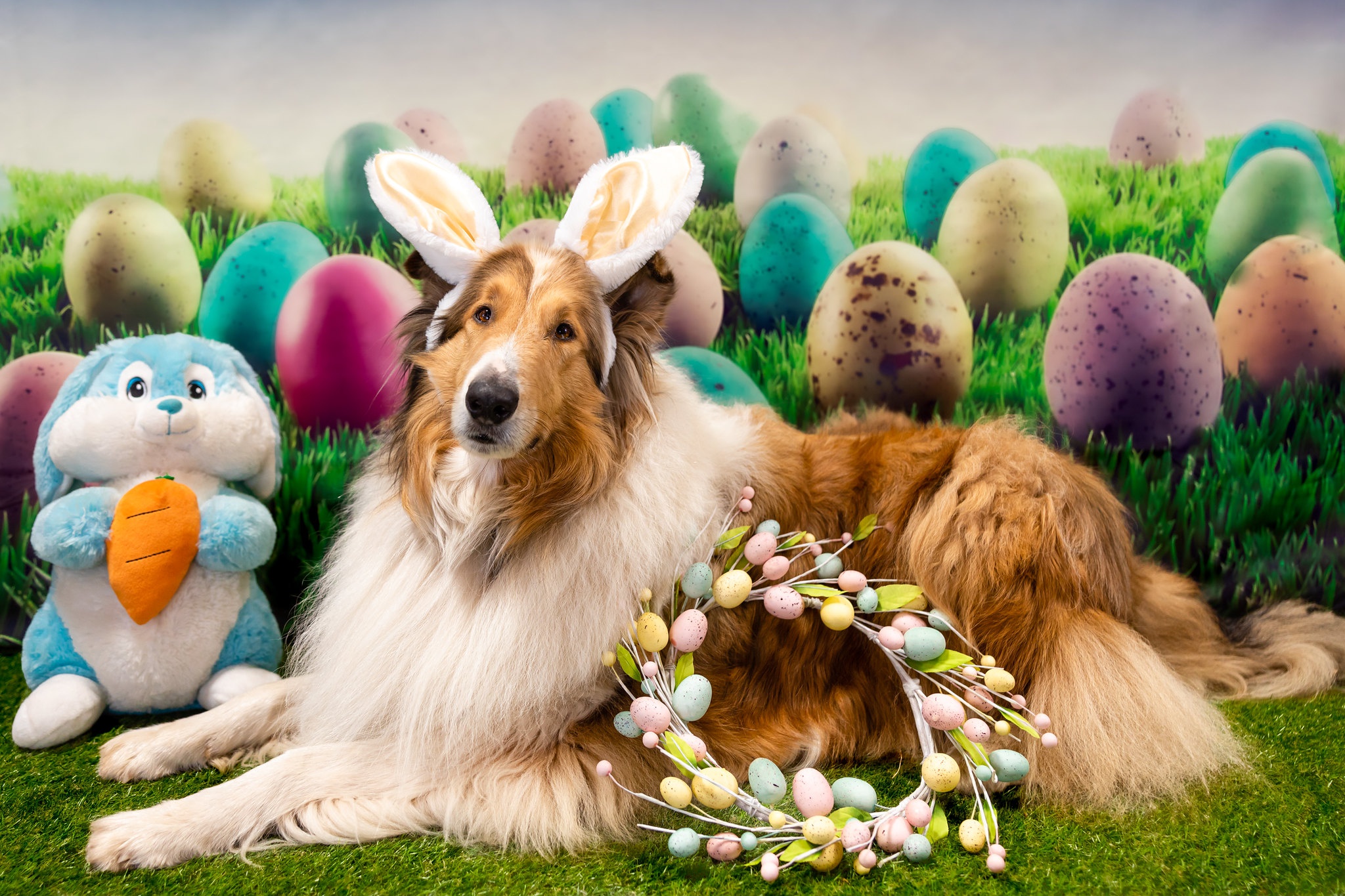 Dog Easter Pet Shetland Sheepdog Stuffed Animal Wreath 2048x1365