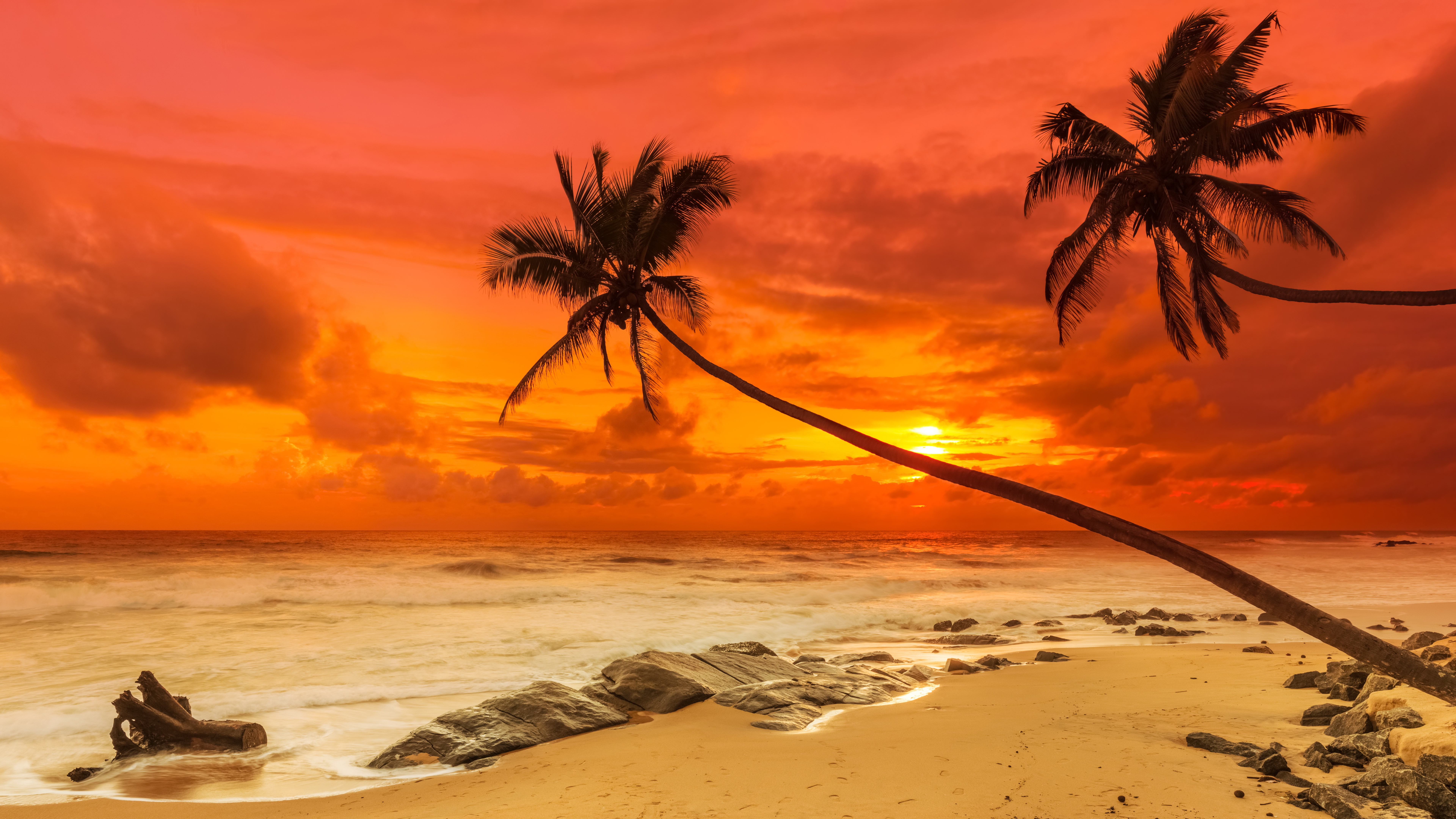 Beach Ocean Sunset Tropical 7680x4320