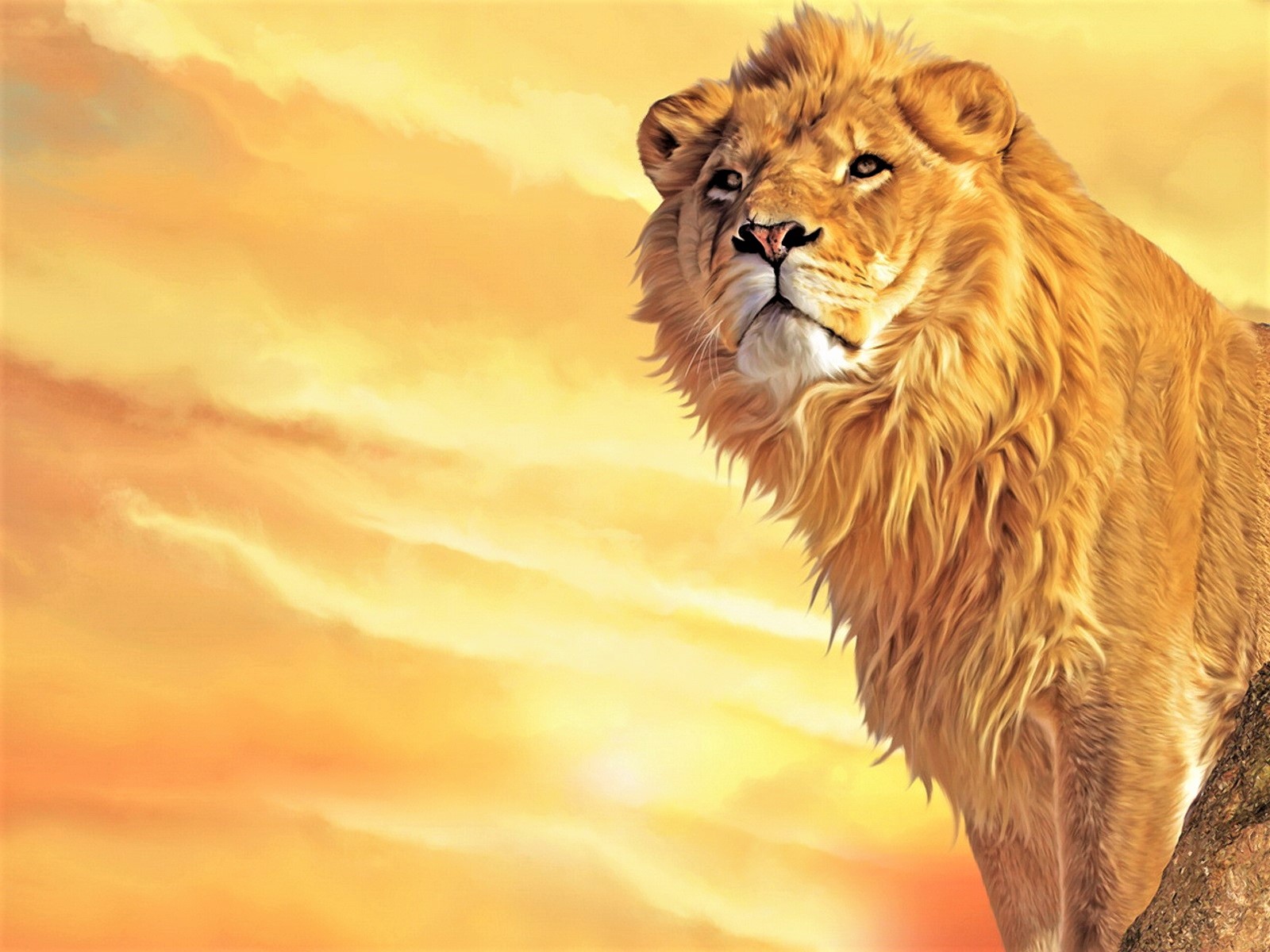 Artistic Lion Painting Sunset 1600x1200