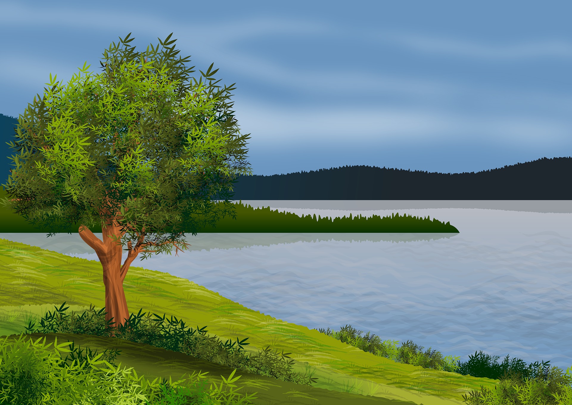 Lake Landscape Tree 1920x1359