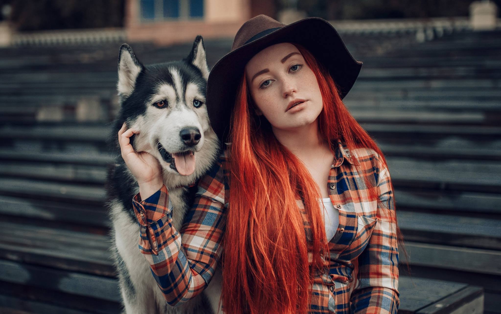 Blue Eyes Depth Of Field Dog Girl Hat Heterochromia Husky Long Hair Model Redhead Woman 2048x1285