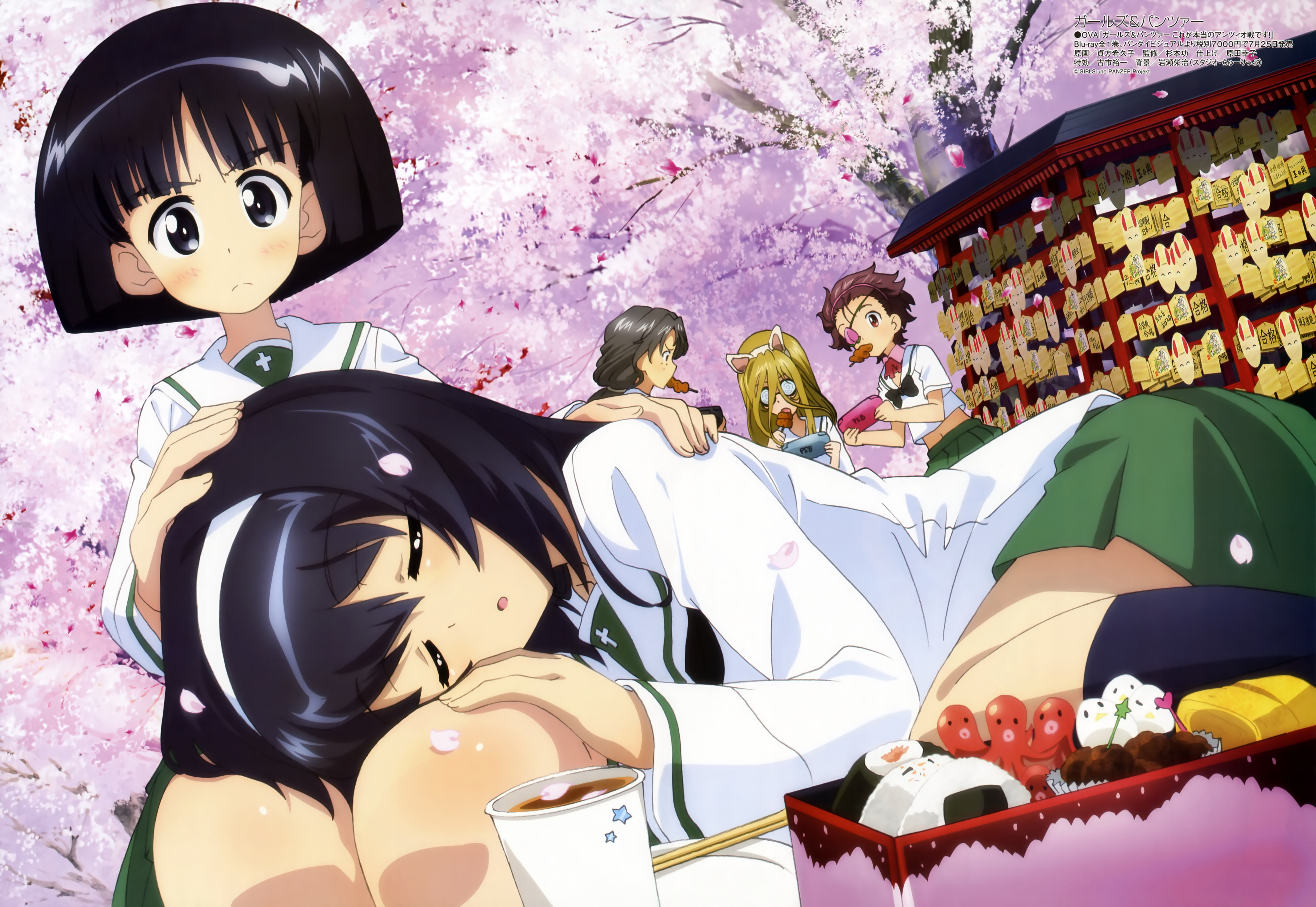Anime Girls Und Panzer 5911x4073