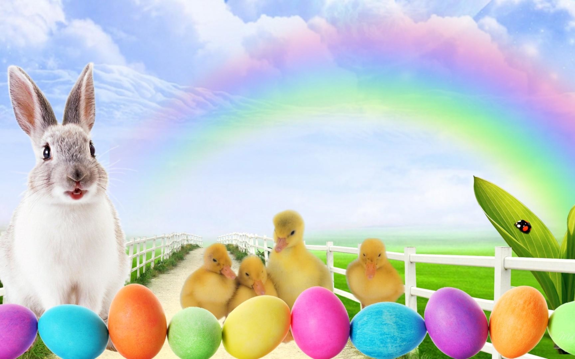 Duckling Easter Easter Egg Holiday Rabbit 1920x1200
