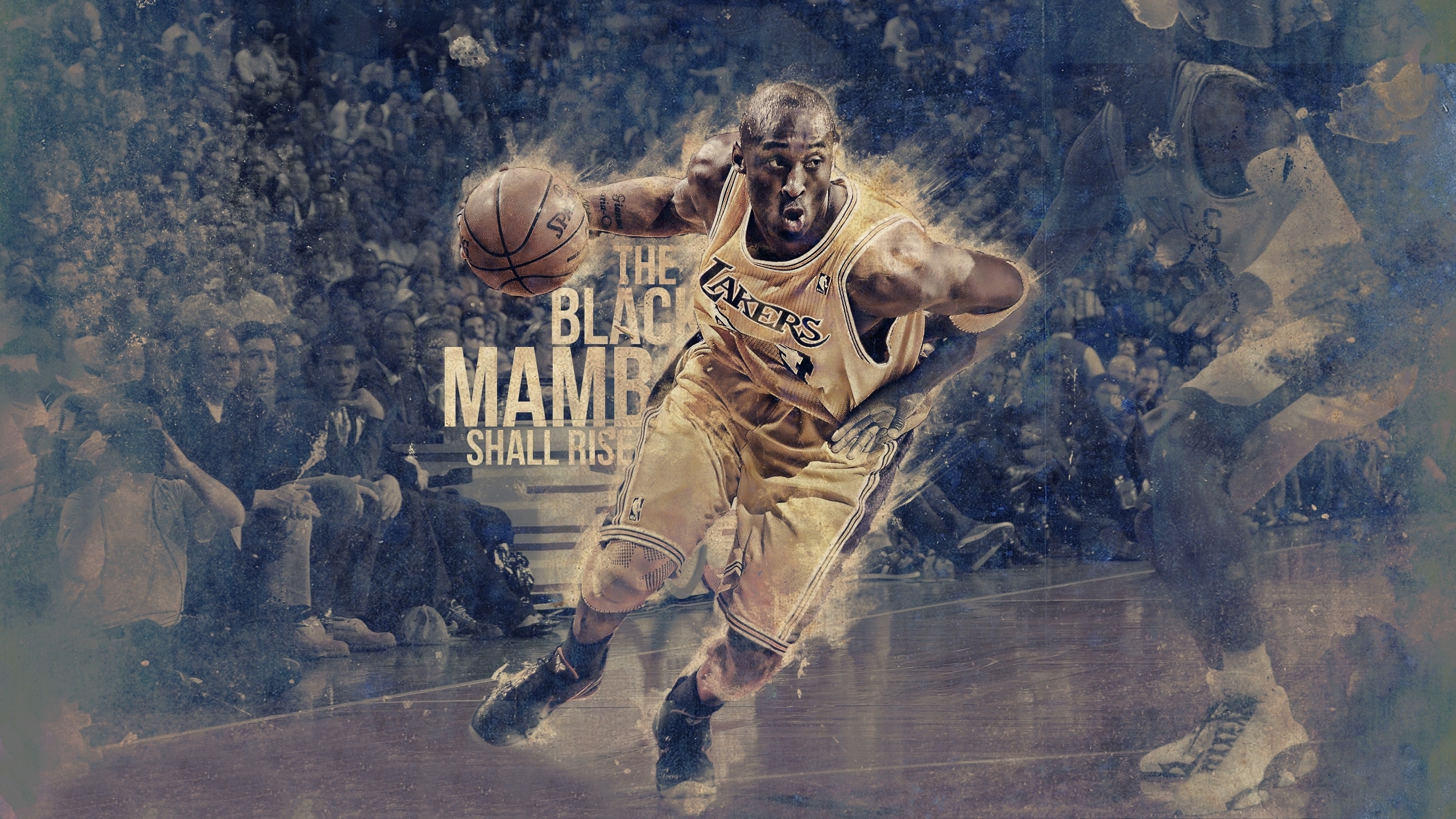 Basketball Kobe Bryant Los Angeles Lakers Nba 2560x1440