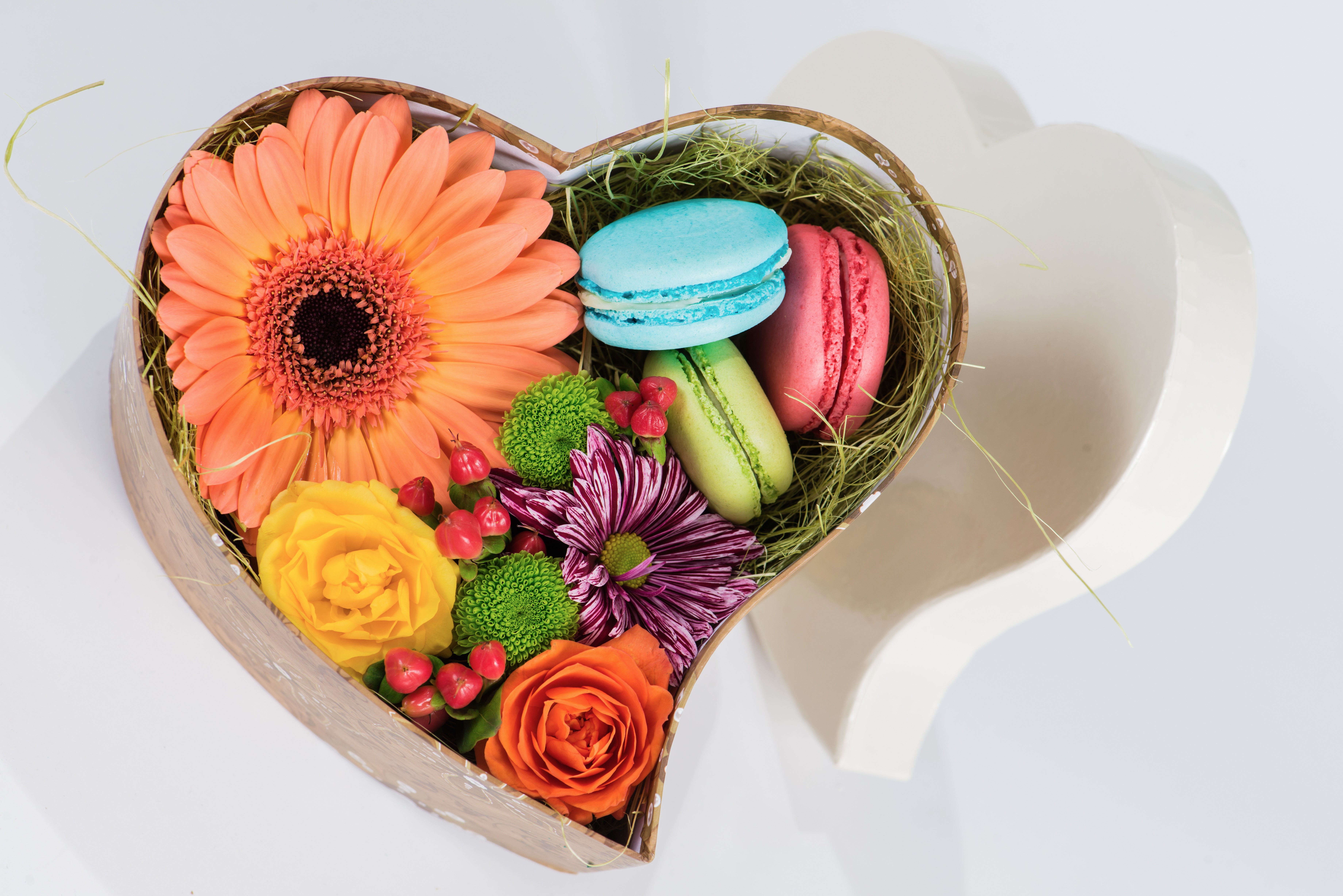 Colorful Flower Heart Shaped Macaron Still Life 7360x4912