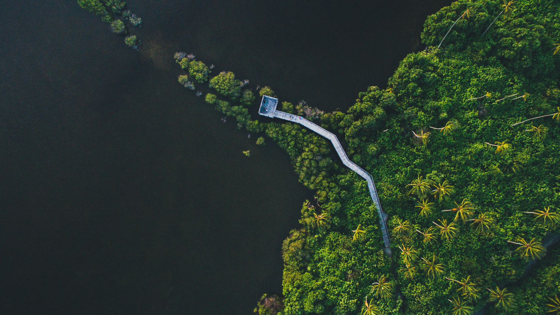 Nature Aerial Trees Wooden Walkway River Drone Photo People Maldives 1920x1080