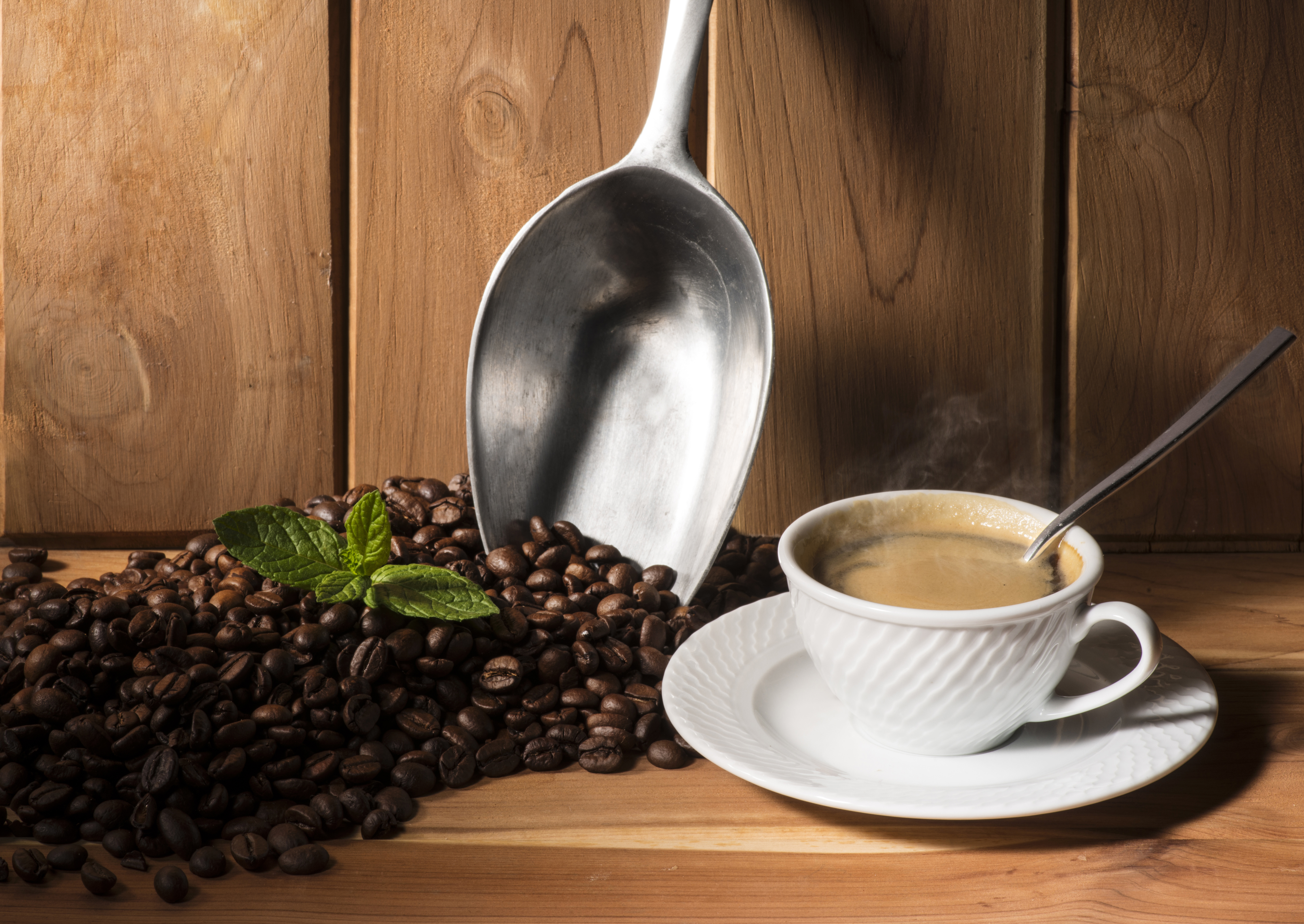 Coffee Coffee Beans Cup Still Life 6618x4692
