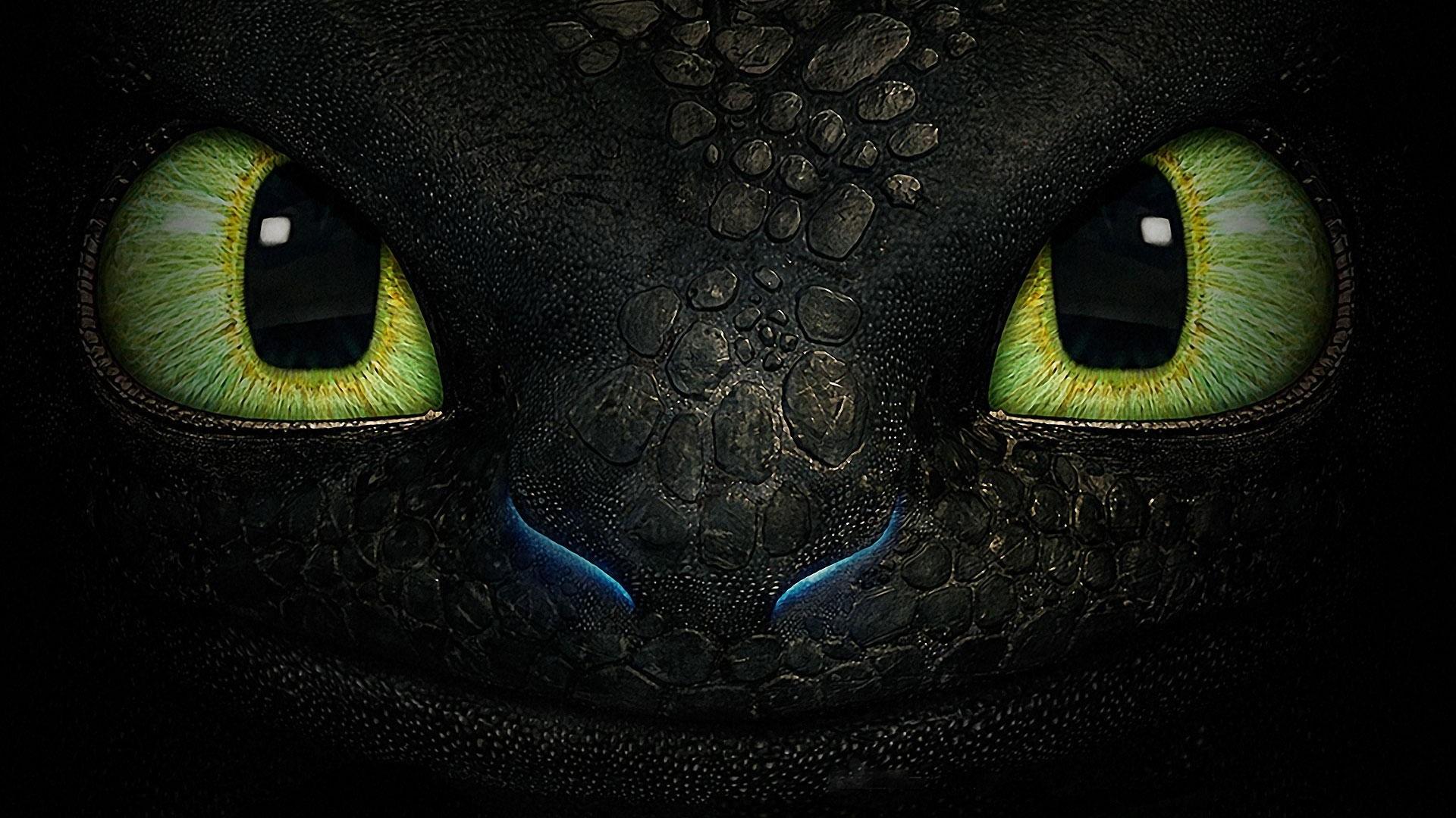 How To Train Your Dragon Toothless How To Train Your Dragon 1920x1080