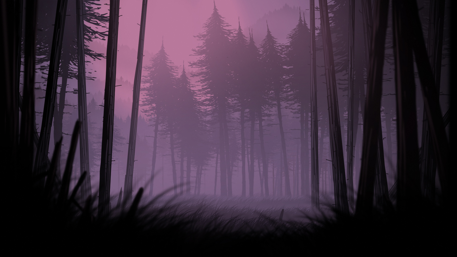 Unforeseen Incidents Forest Drawing Night Nature 1920x1080