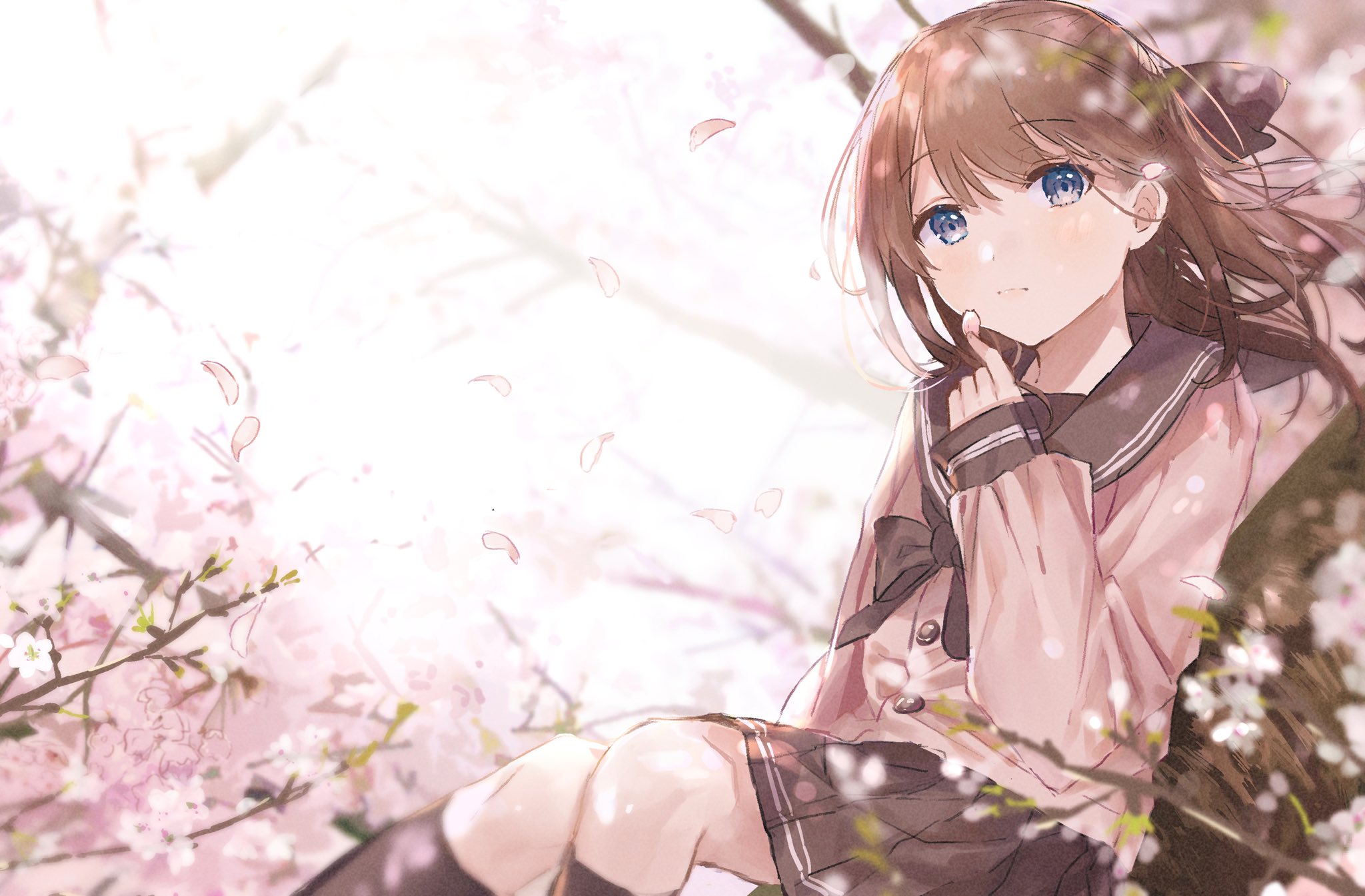 Anime Anime Girls Oyuyu Cherry Blossom Brunette Blue Eyes School Uniform 2048x1345