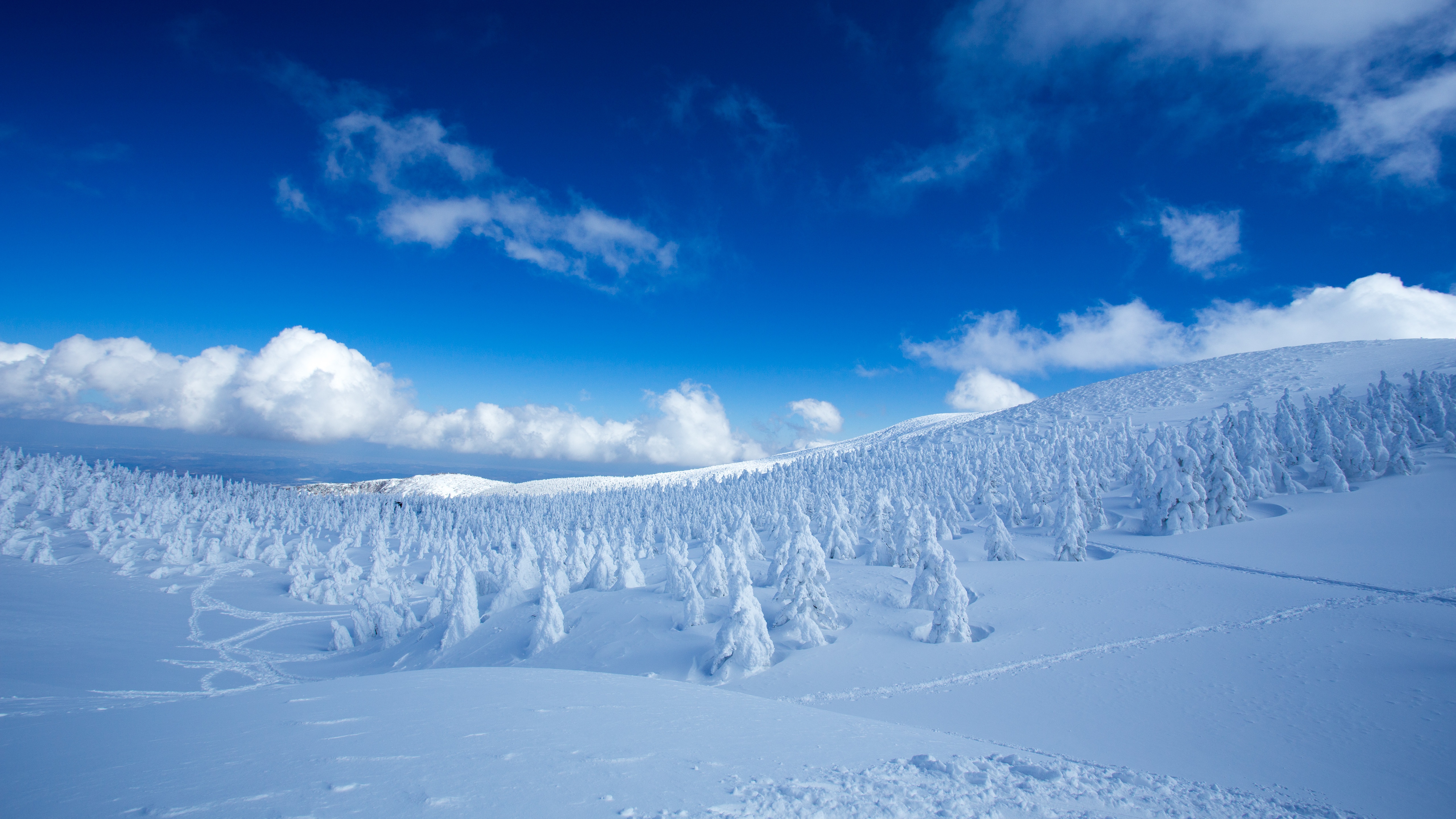 Cloud Forest Landscape Nature Sky Snow Winter 5120x2880