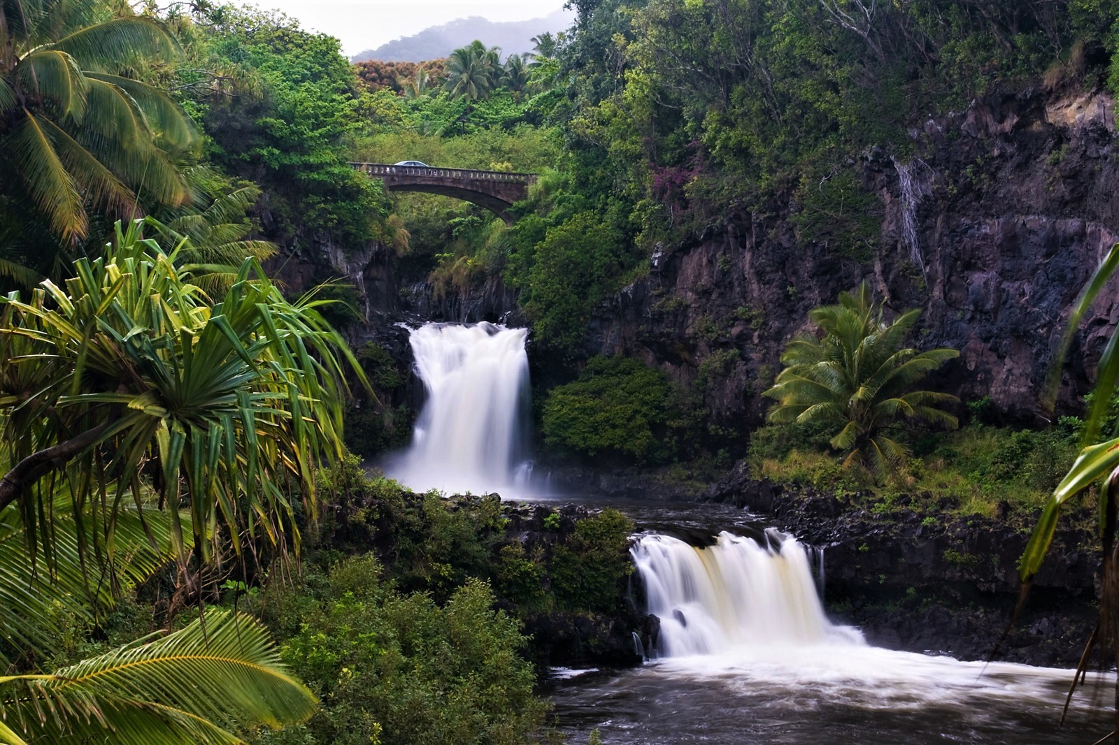 Bridge Earth Rainforest Tropical Waterfall 1600x1066