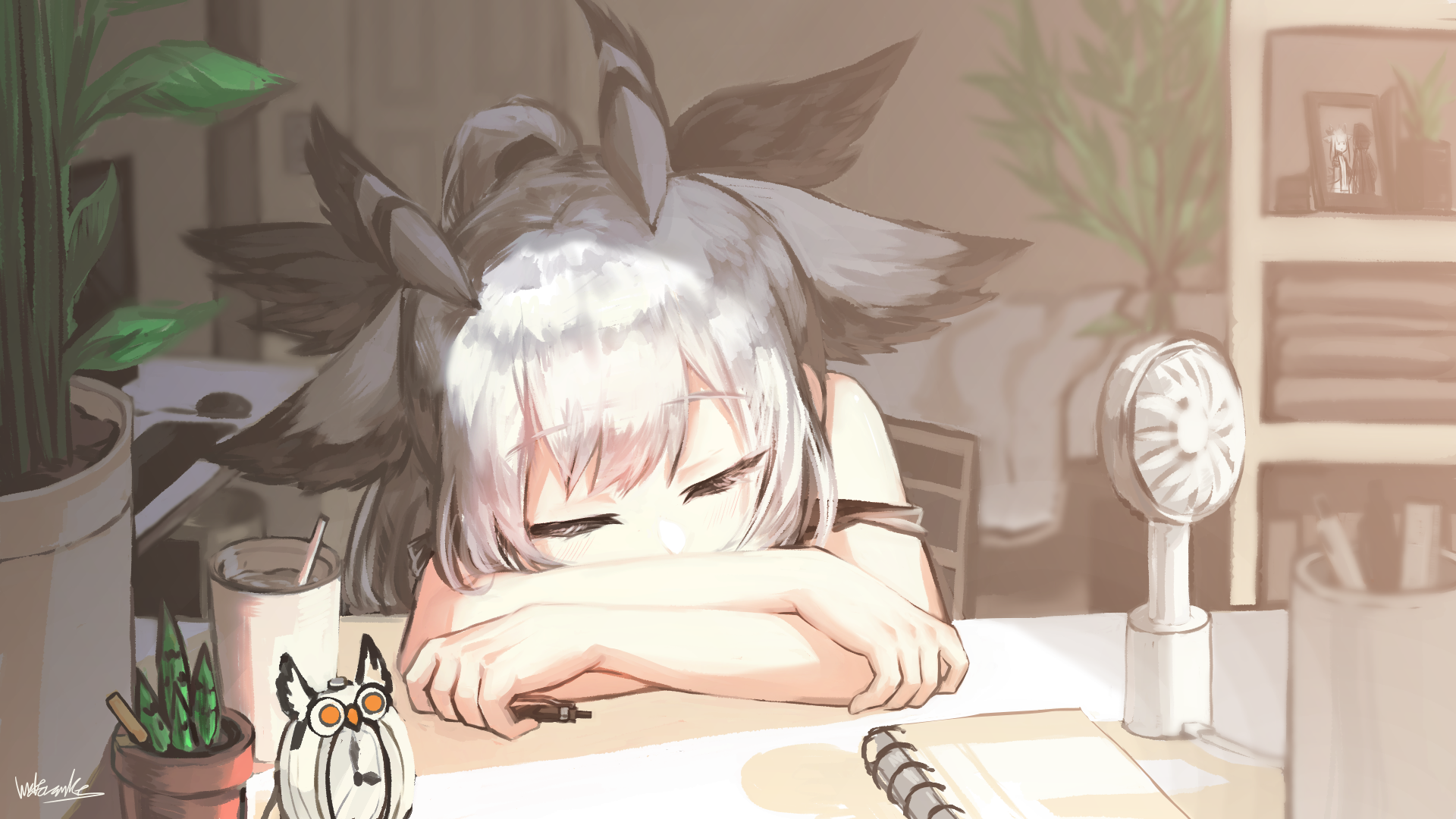 Arknights Girl Ptilopsis Arknights Sleeping White Hair 1920x1080