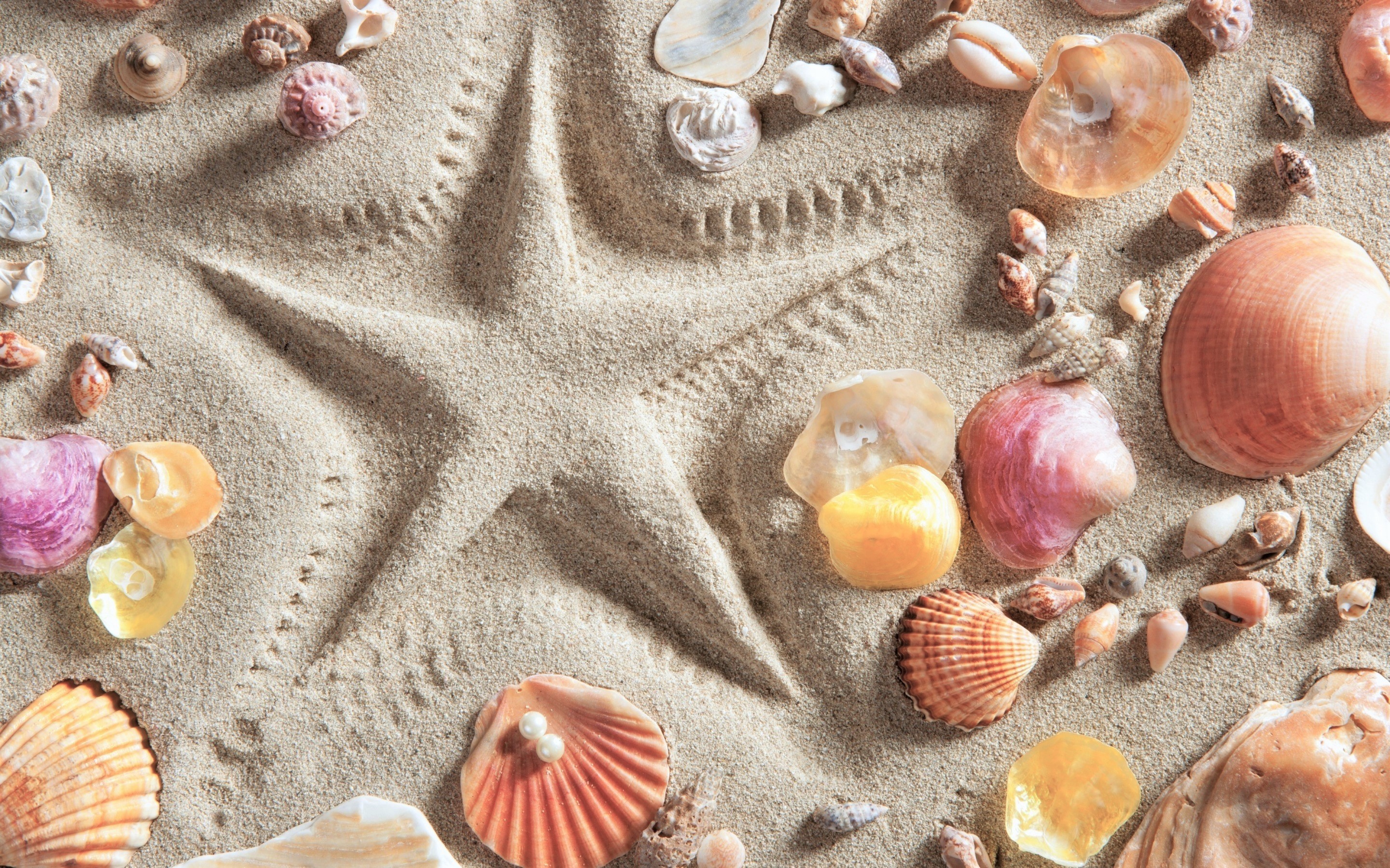 Sand Shell Star 2880x1800