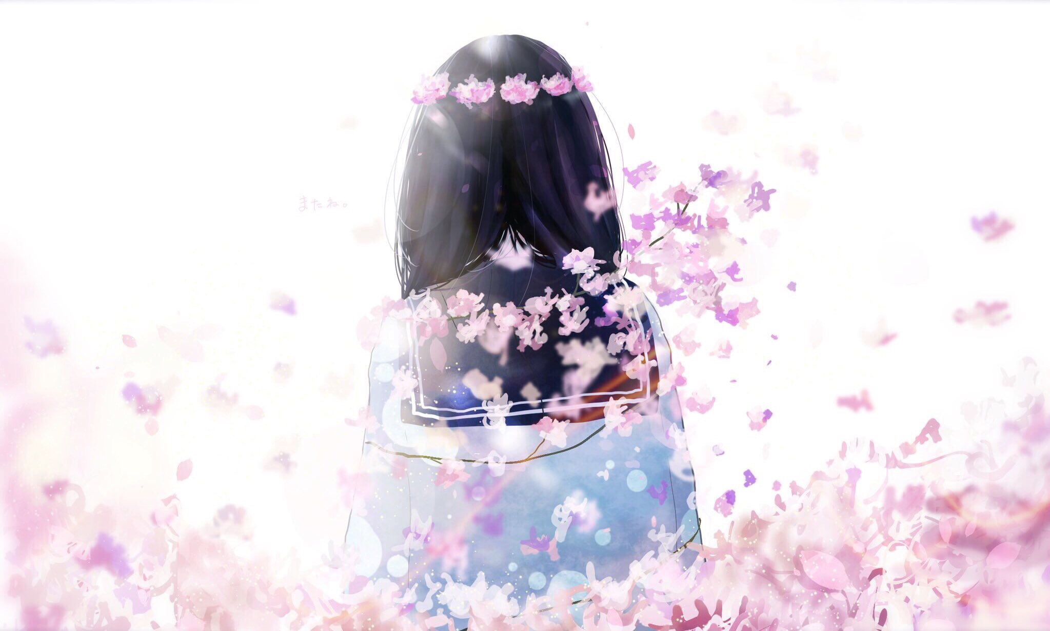Black Hair Cherry Blossom Long Hair Sakura 2047x1230