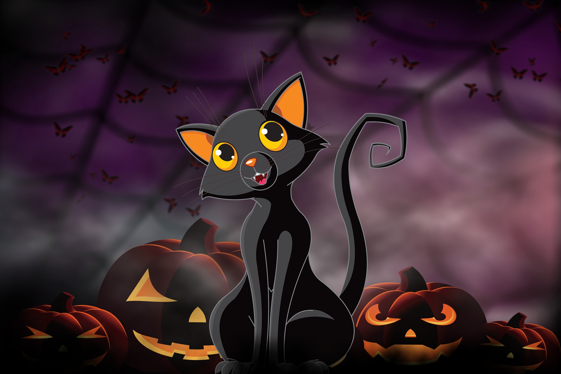 Cat Halloween Jack O 039 Lantern Pumpkin 1920x1280