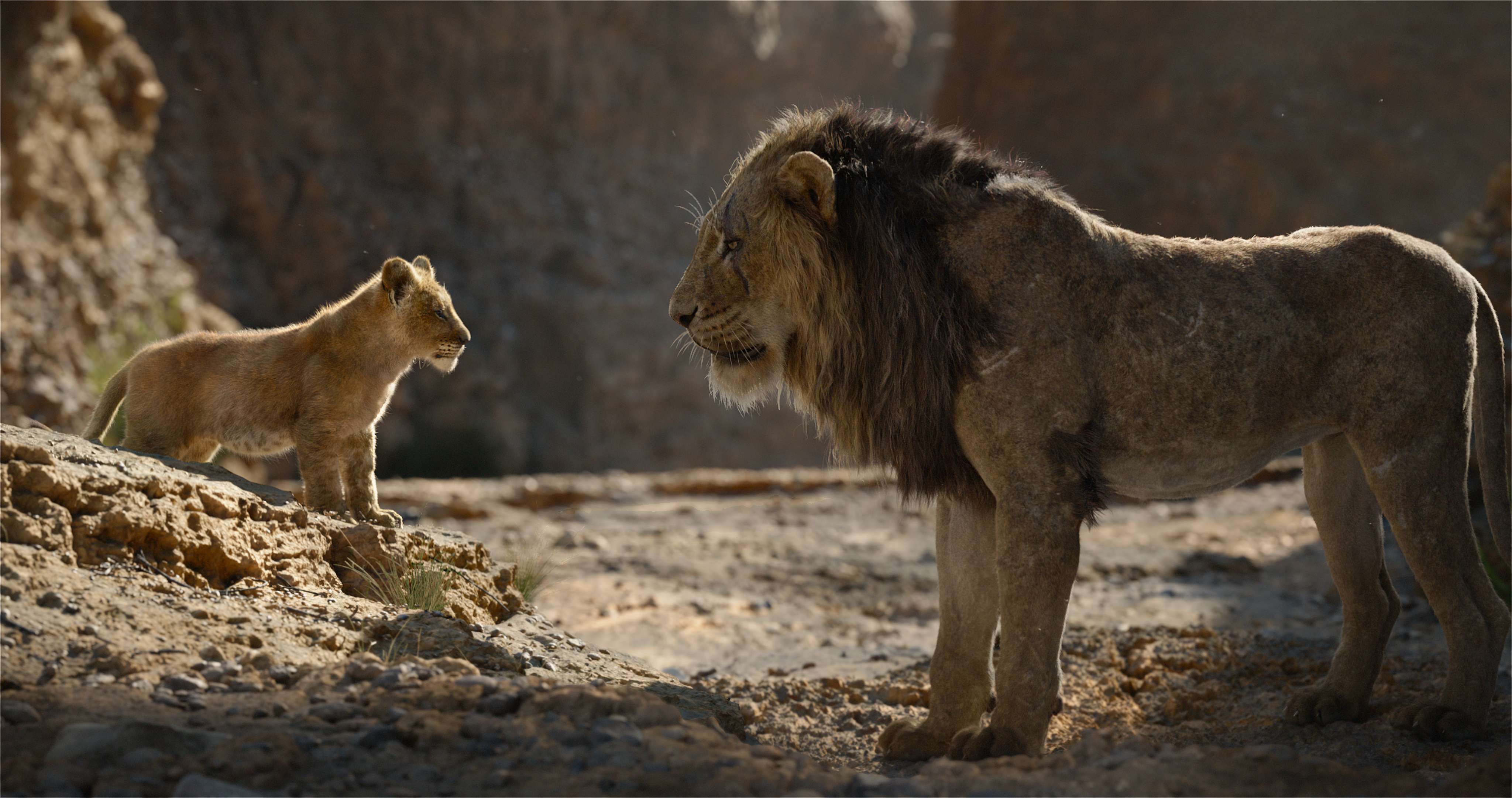 Scar The Lion King Simba The Lion King 2019 4096x2160