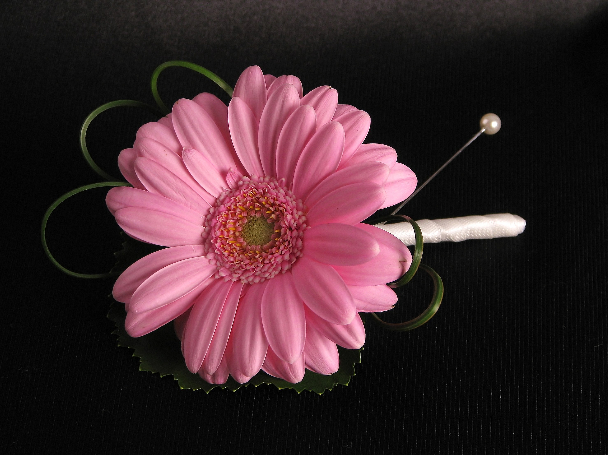 Flower Gerbera Pink Flower 2470x1850