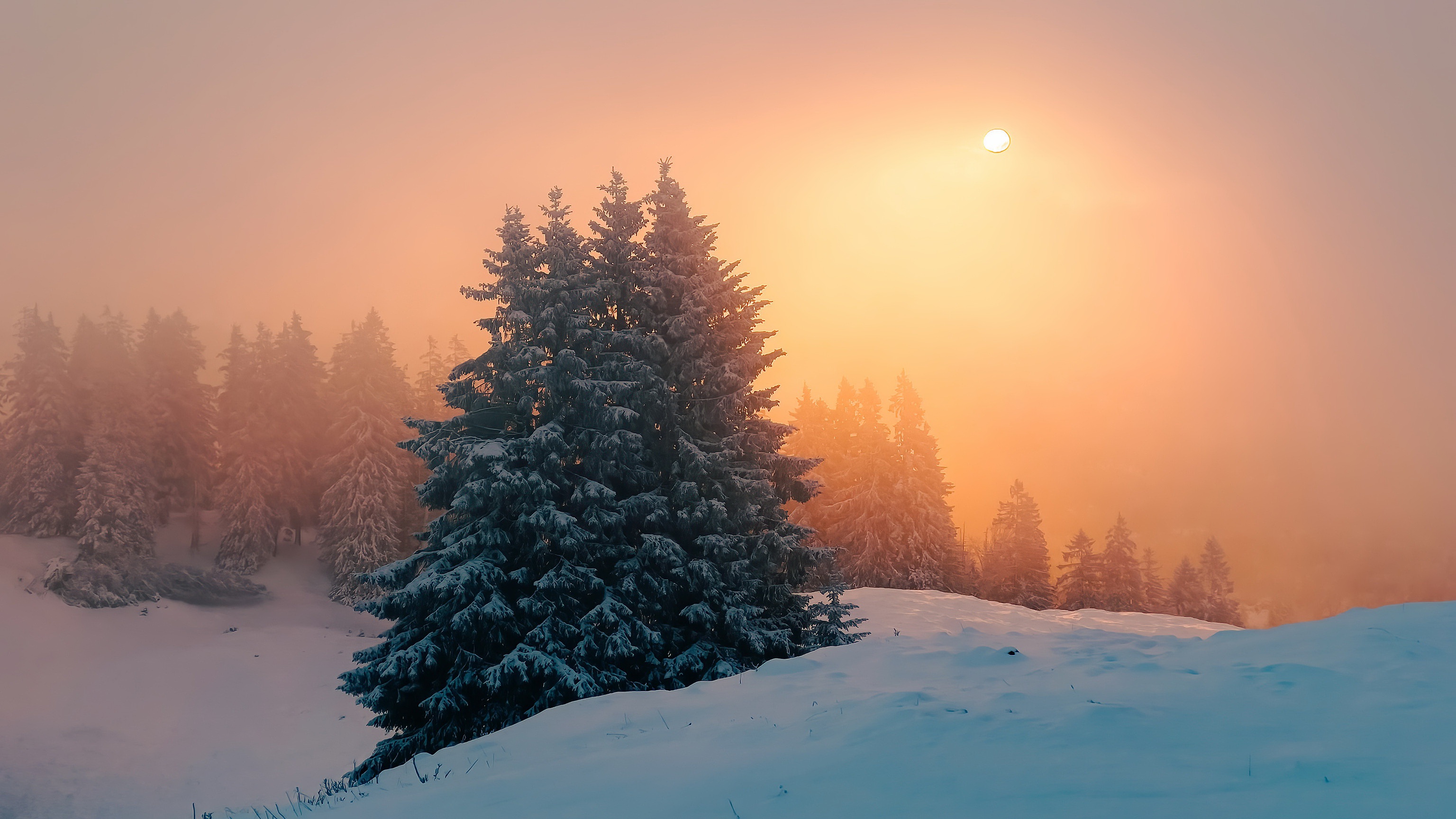 Fog Sunset Winter 3072x1728