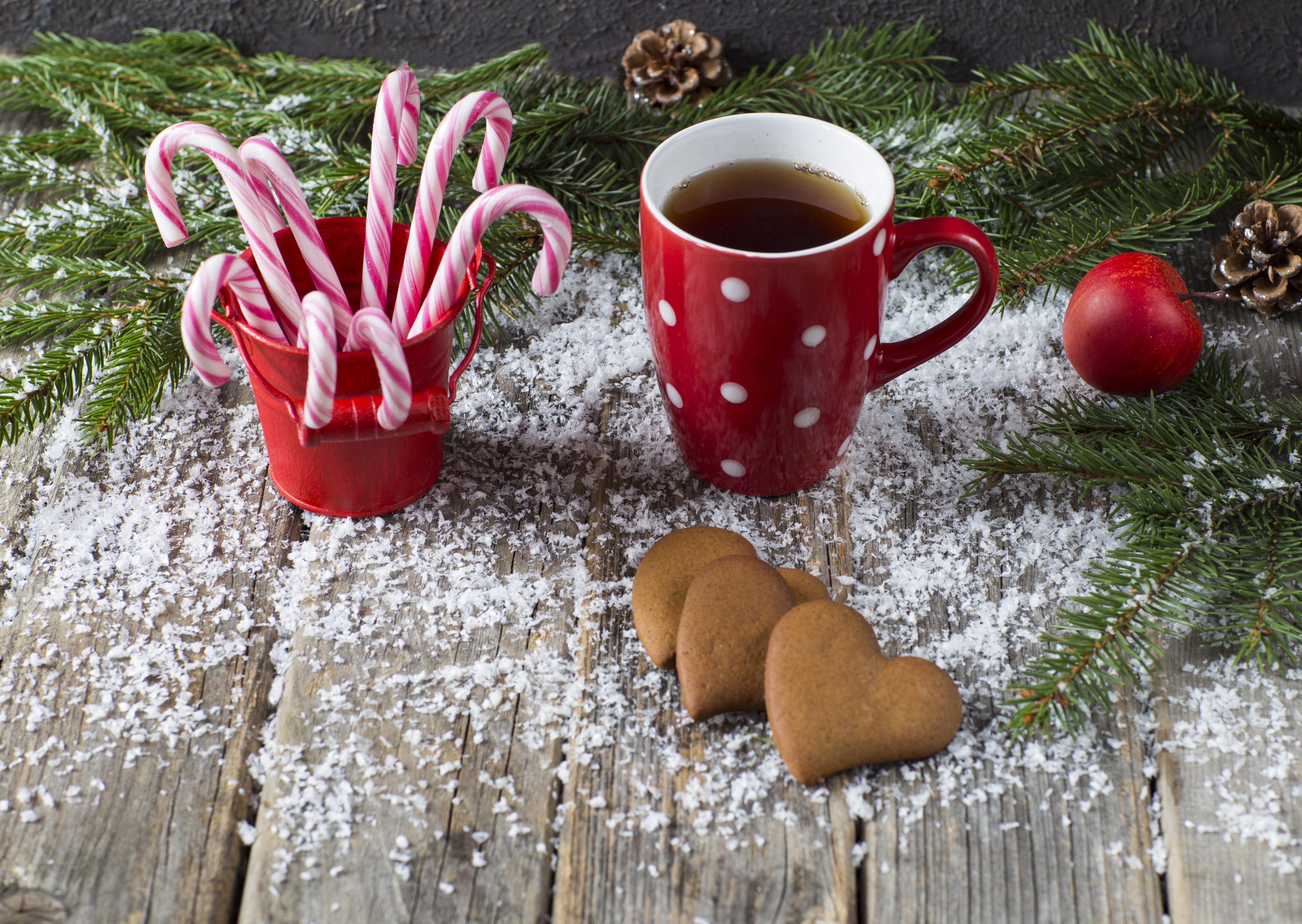 Candy Cane Christmas Cookie Cup Drink Tea 5141x3648