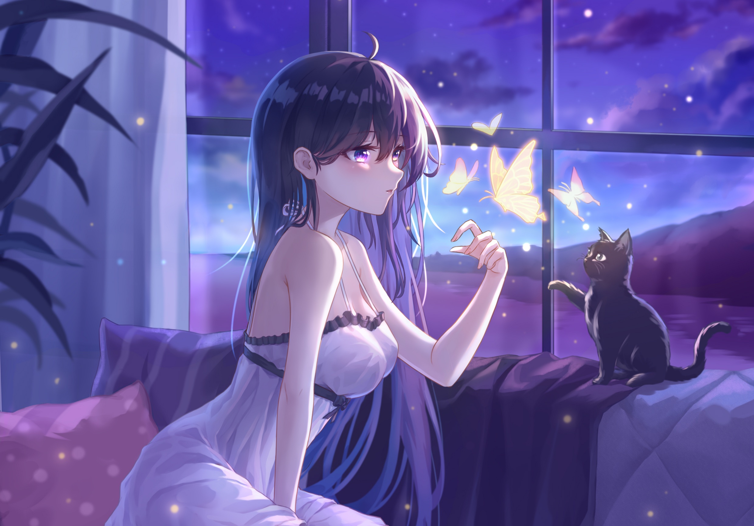 Anime Anime Girls Original Characters Black Cats Butterfly Night Cats 2480x1730