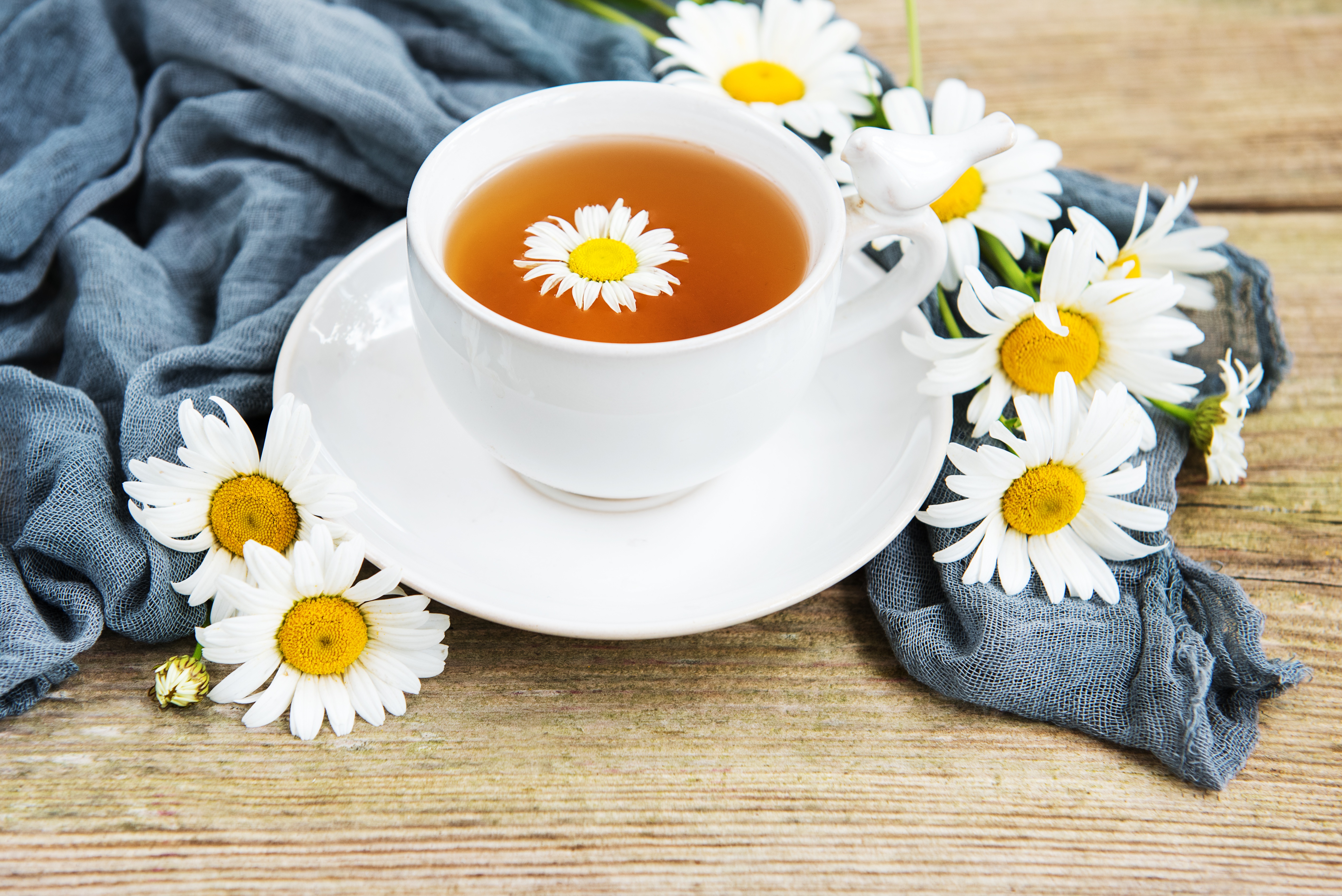 Cup Daisy Drink Tea White Flower 5030x3358