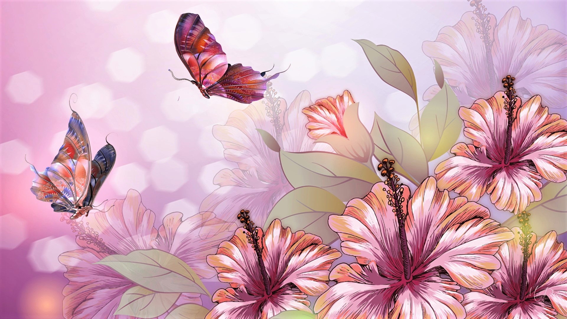 Artistic Butterfly Flower Hibiscus 1920x1080