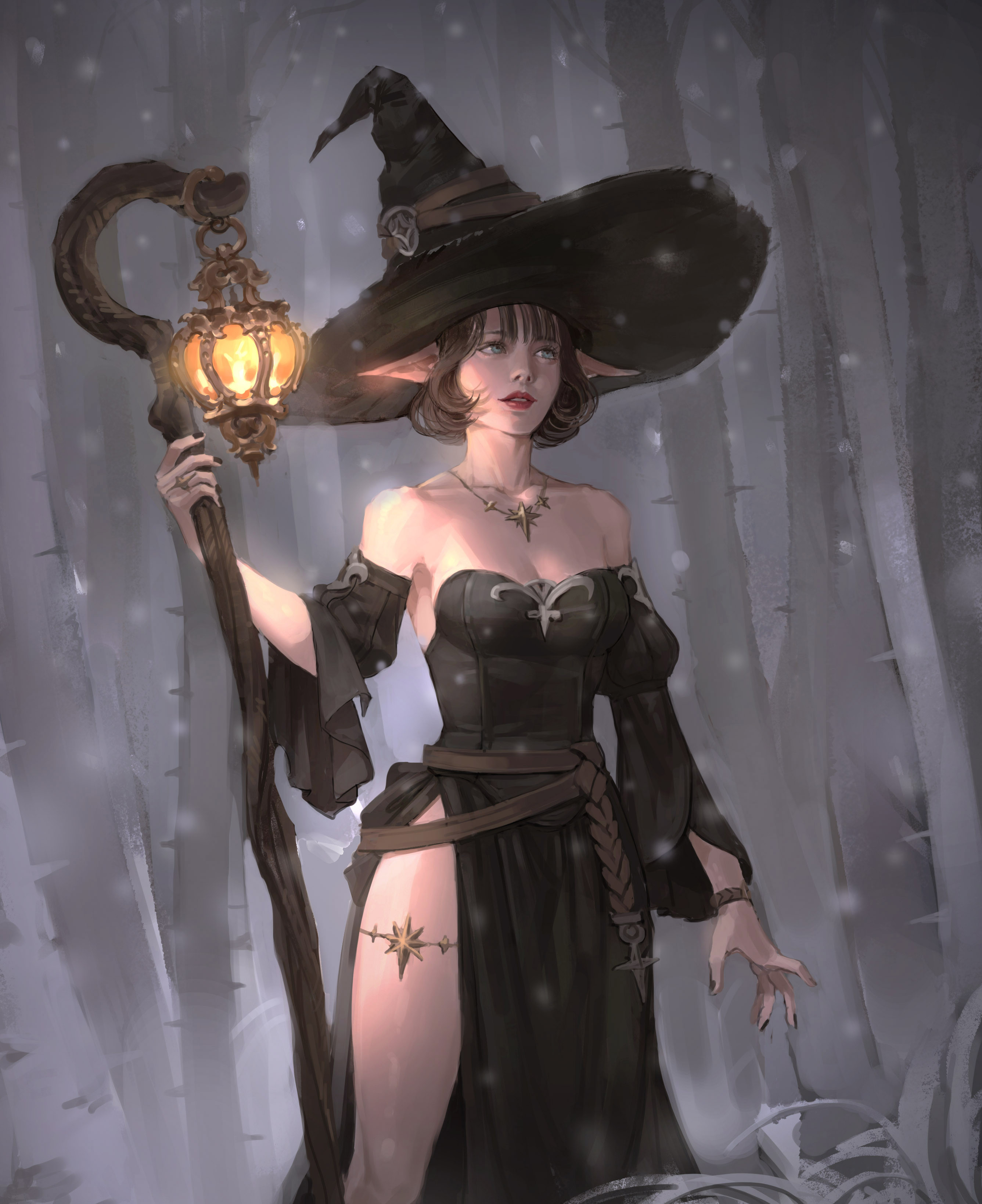 Digital Art Wizards Hat Young Woman Women Looking Into The Distance Bare Shoulders Wizard Snow Flake 2673x3278